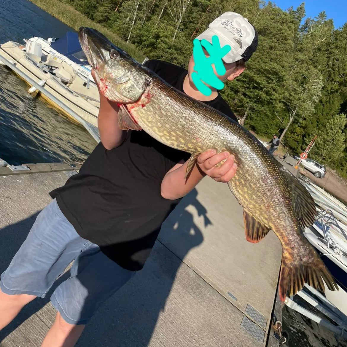 Northern pike caught on Fishbrain