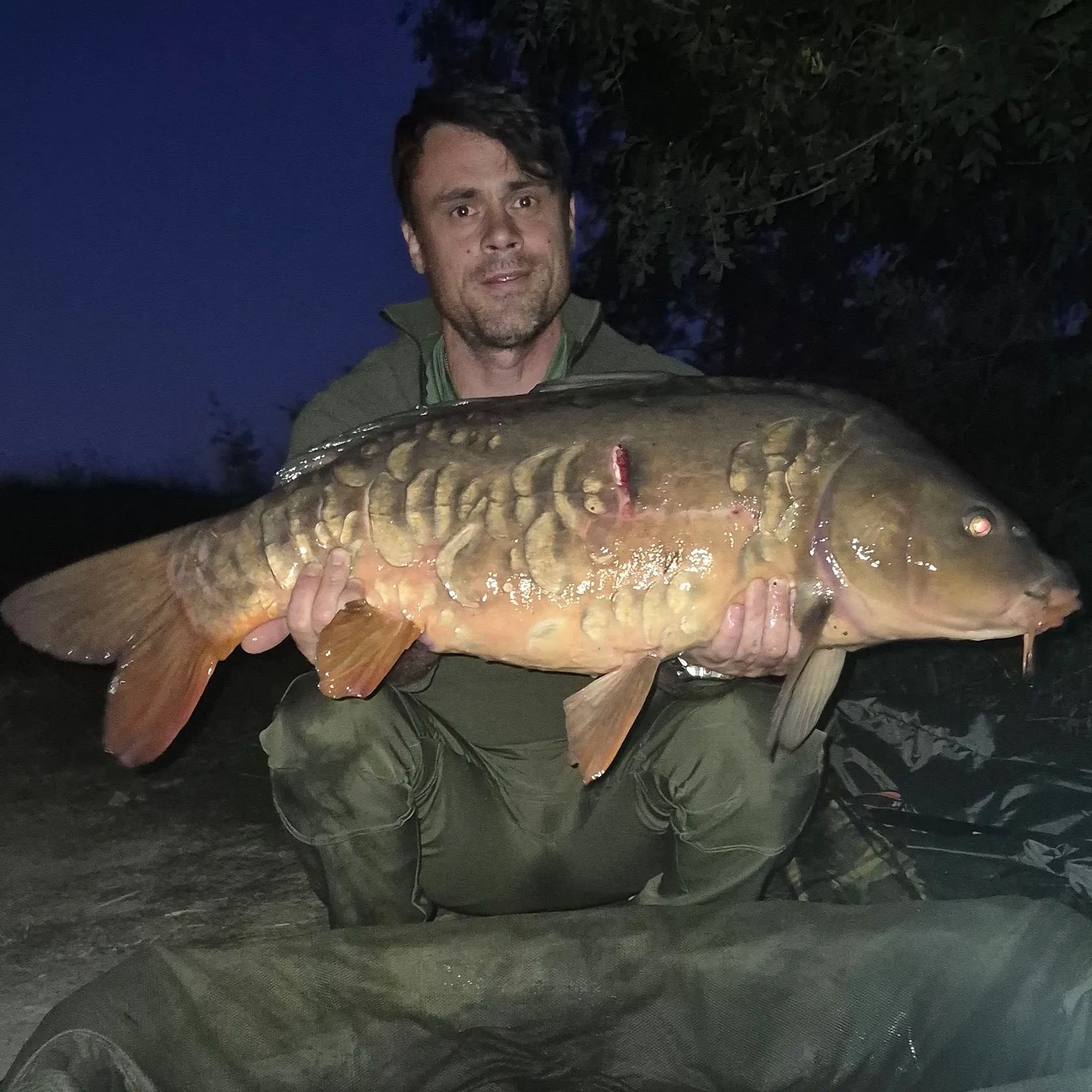 Mirror carp caught on Fishbrain