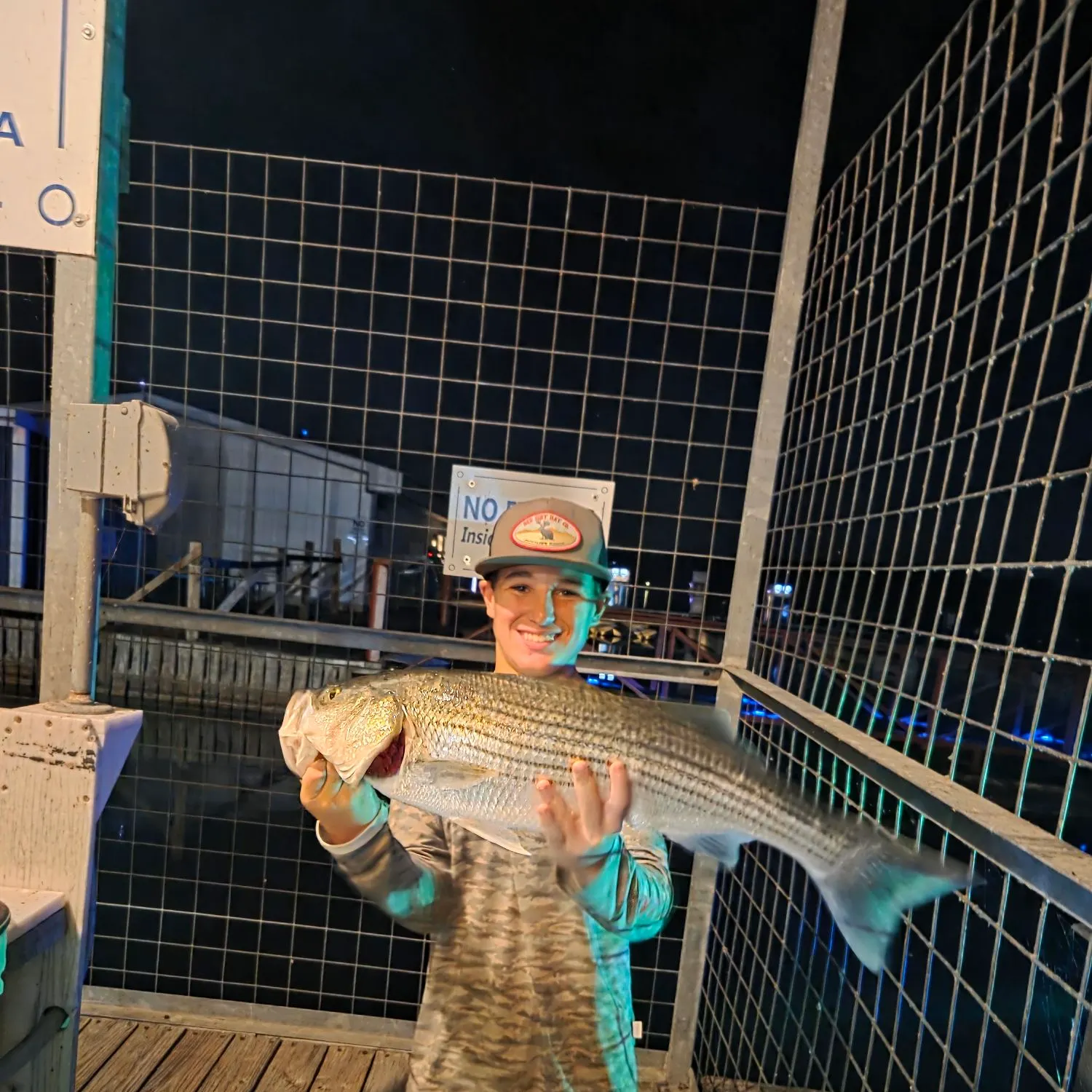 Striped bass caught on Fishbrain