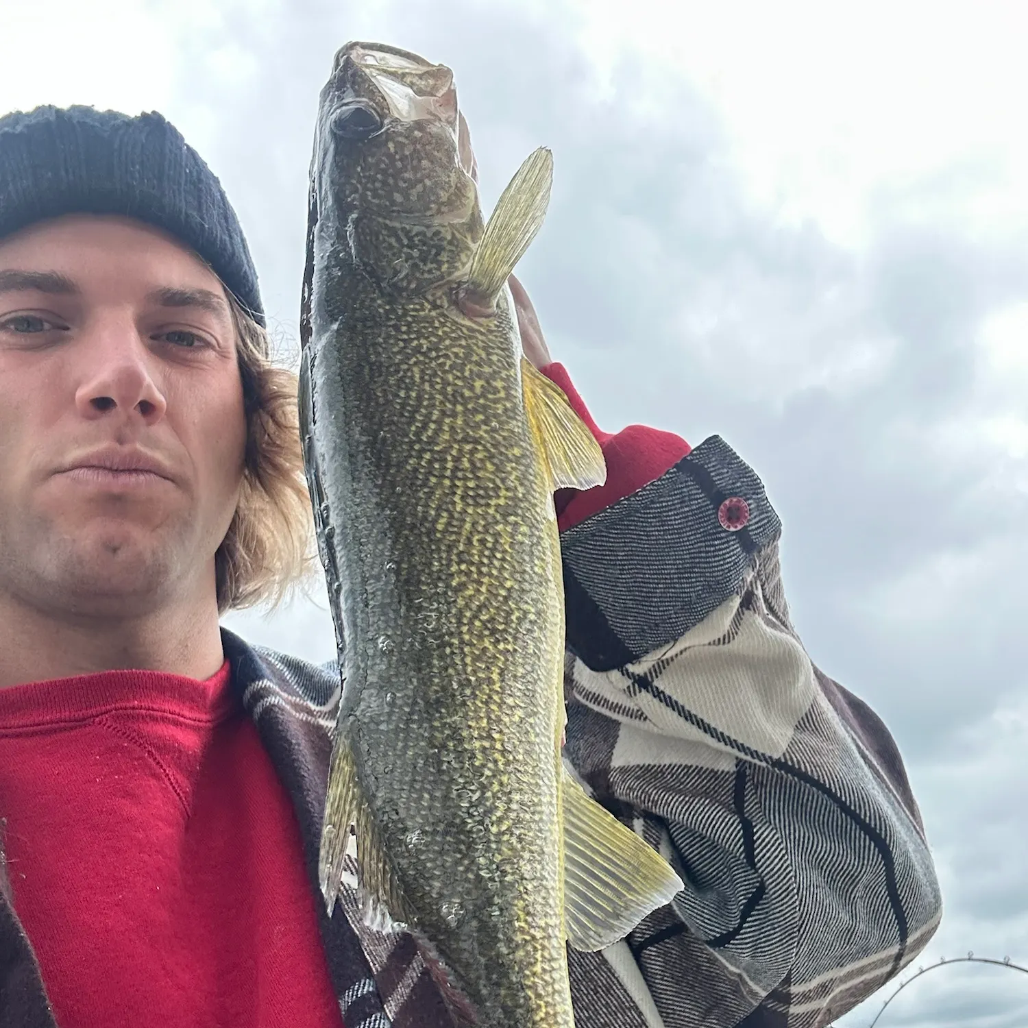 Walleye caught on Fishbrain