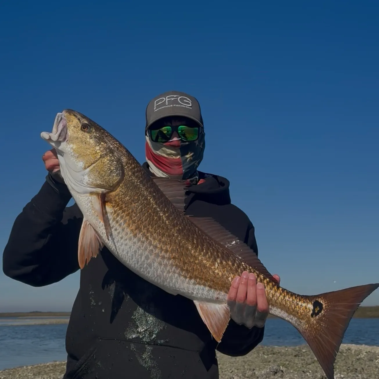 The most recent Red drum catches on Fishbrain