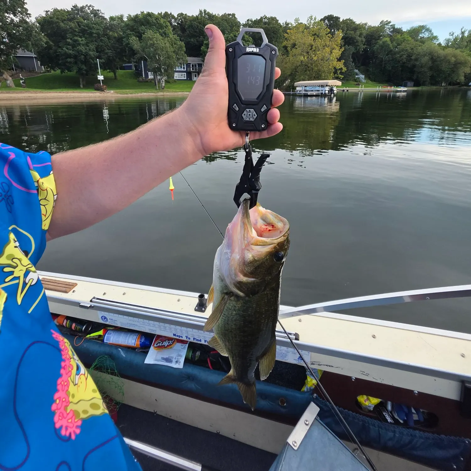 recently logged catches