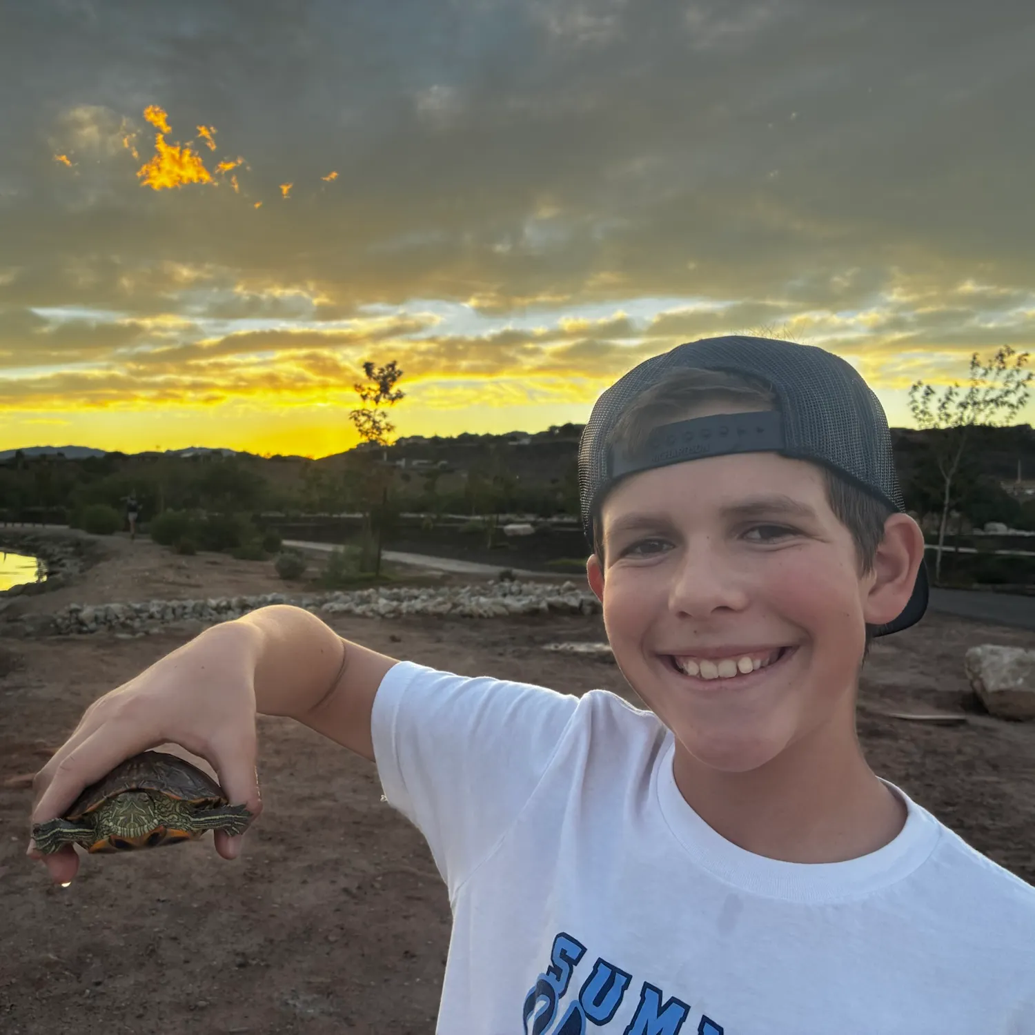 Pond slider turtle caught on Fishbrain