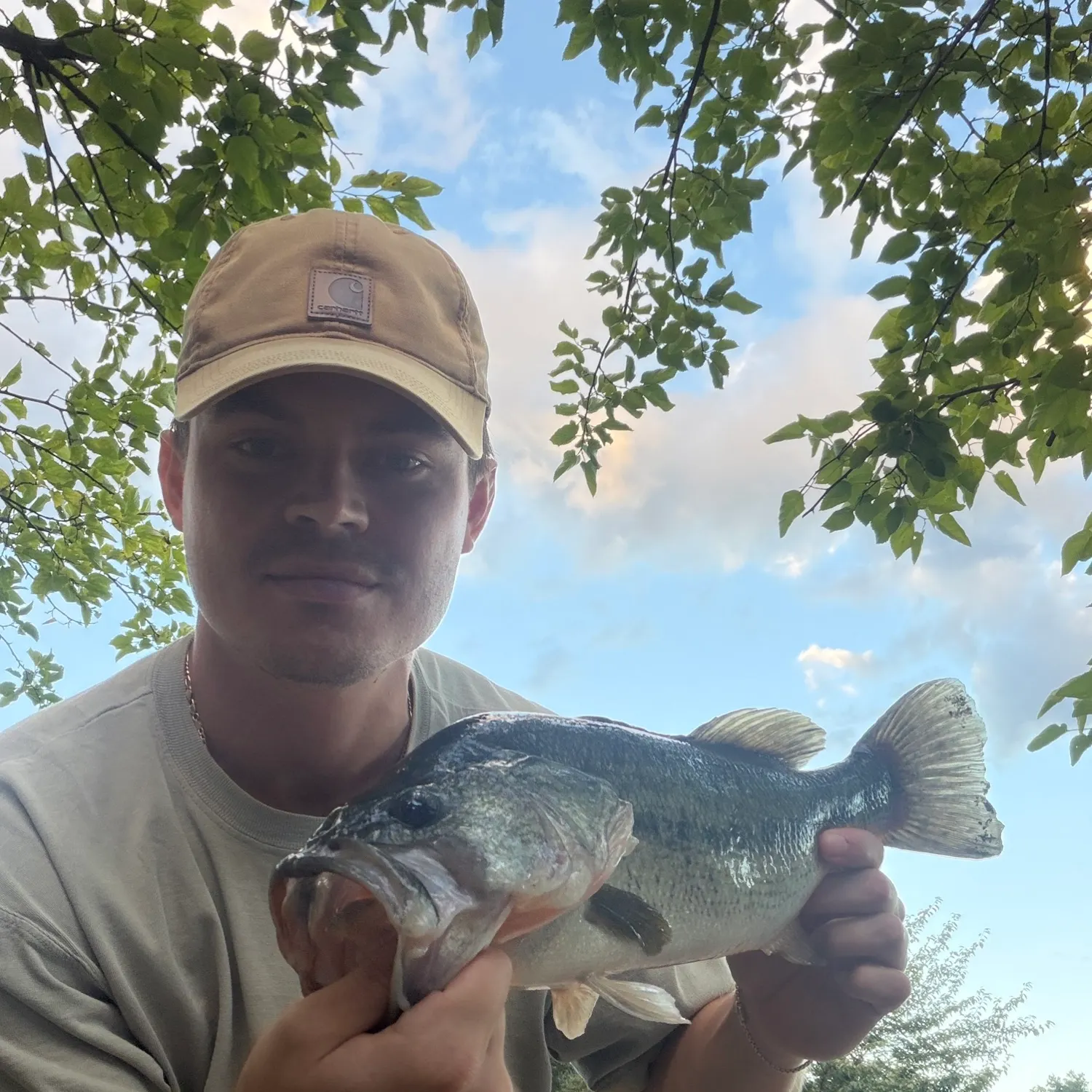 Largemouth bass caught on Fishbrain