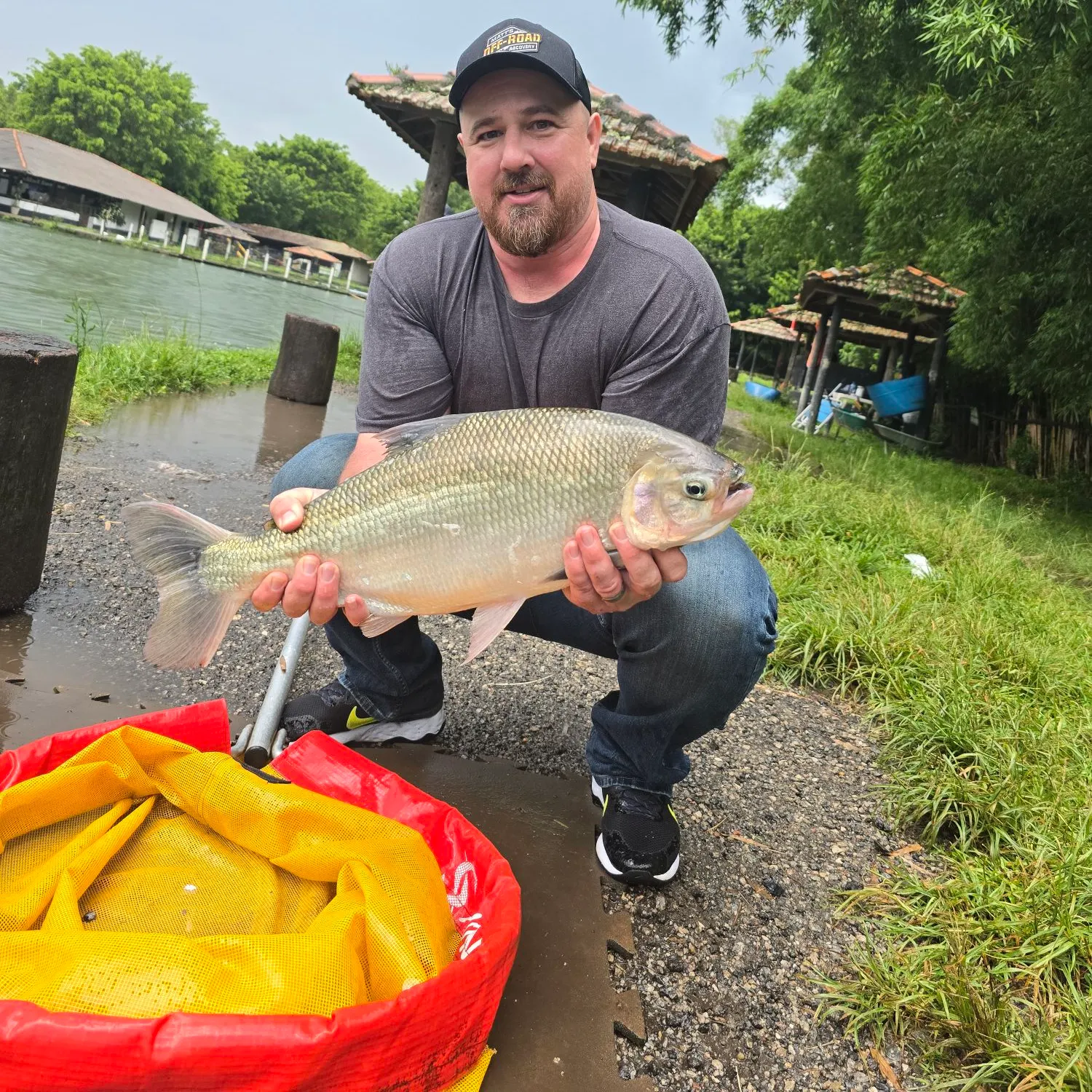 The most recent Sabaleta catches on Fishbrain