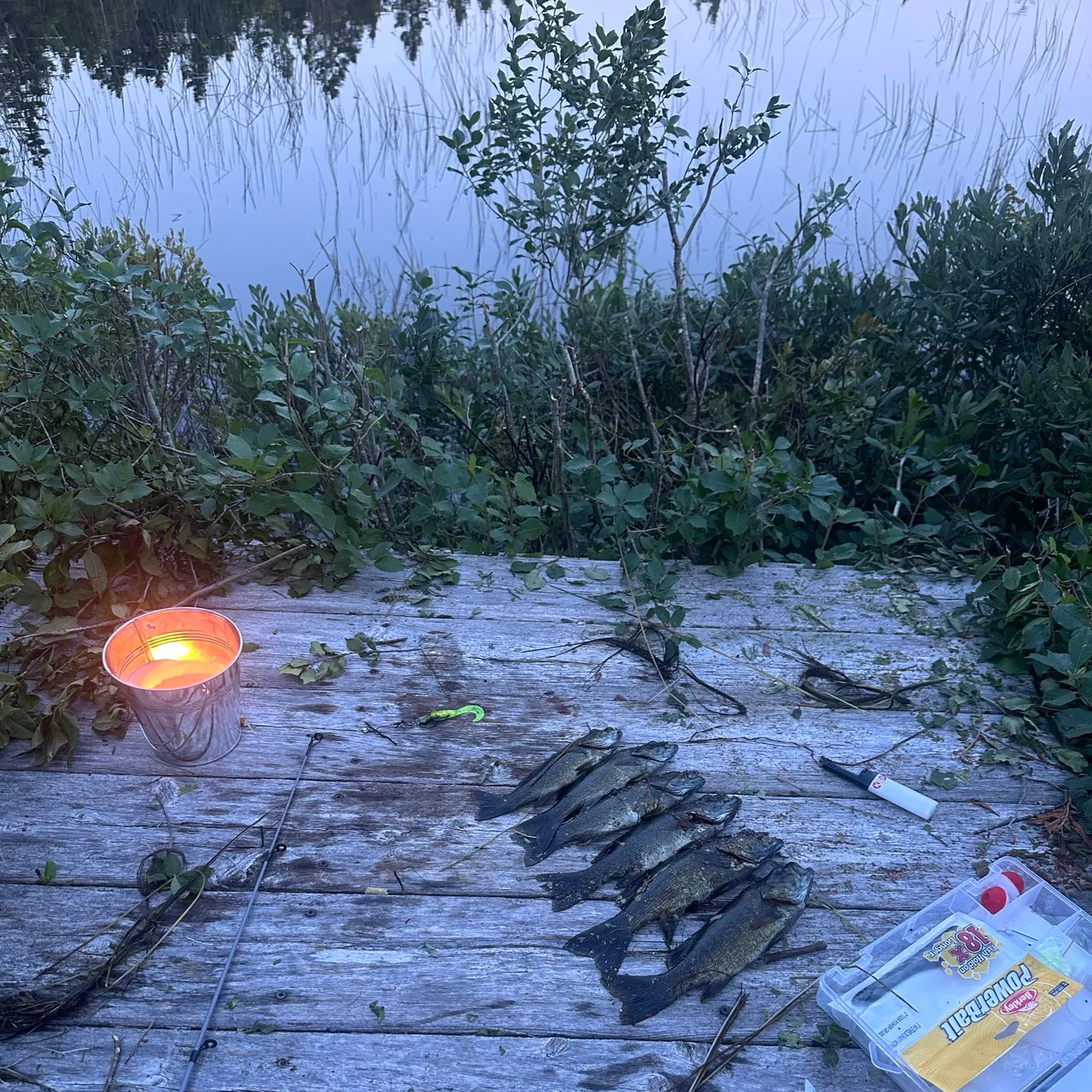 recently logged catches