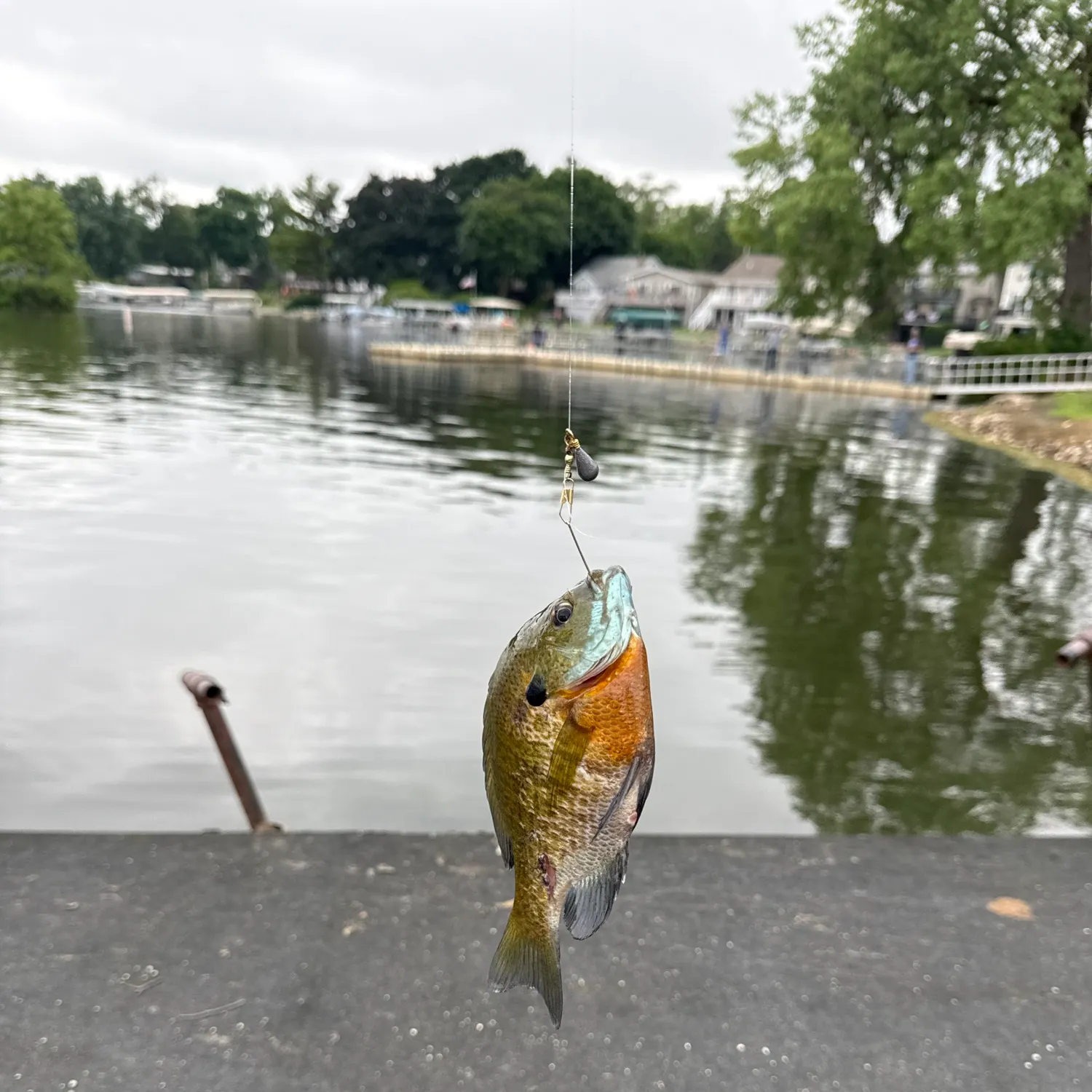 catch