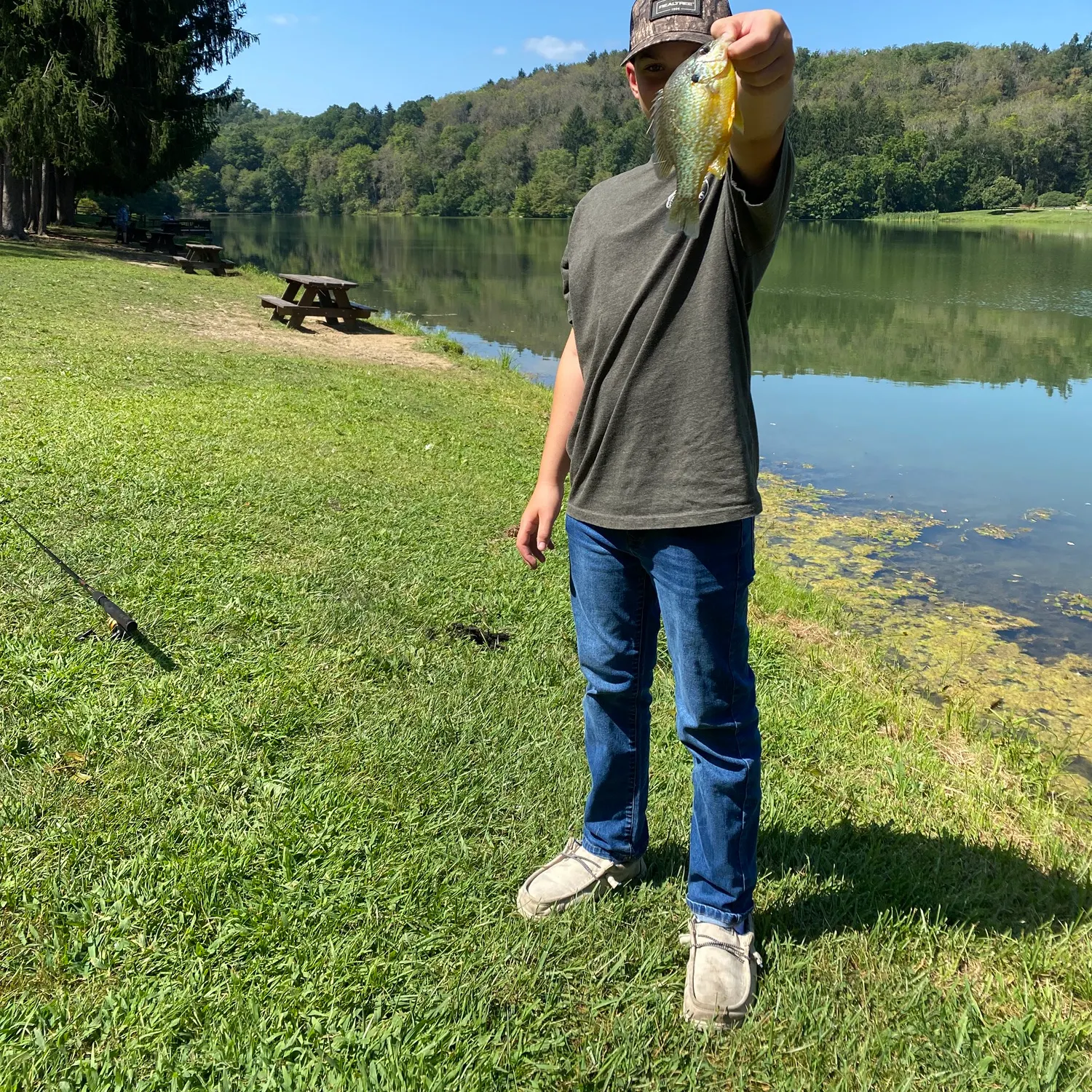 The most recent Wargill hybrid catches on Fishbrain