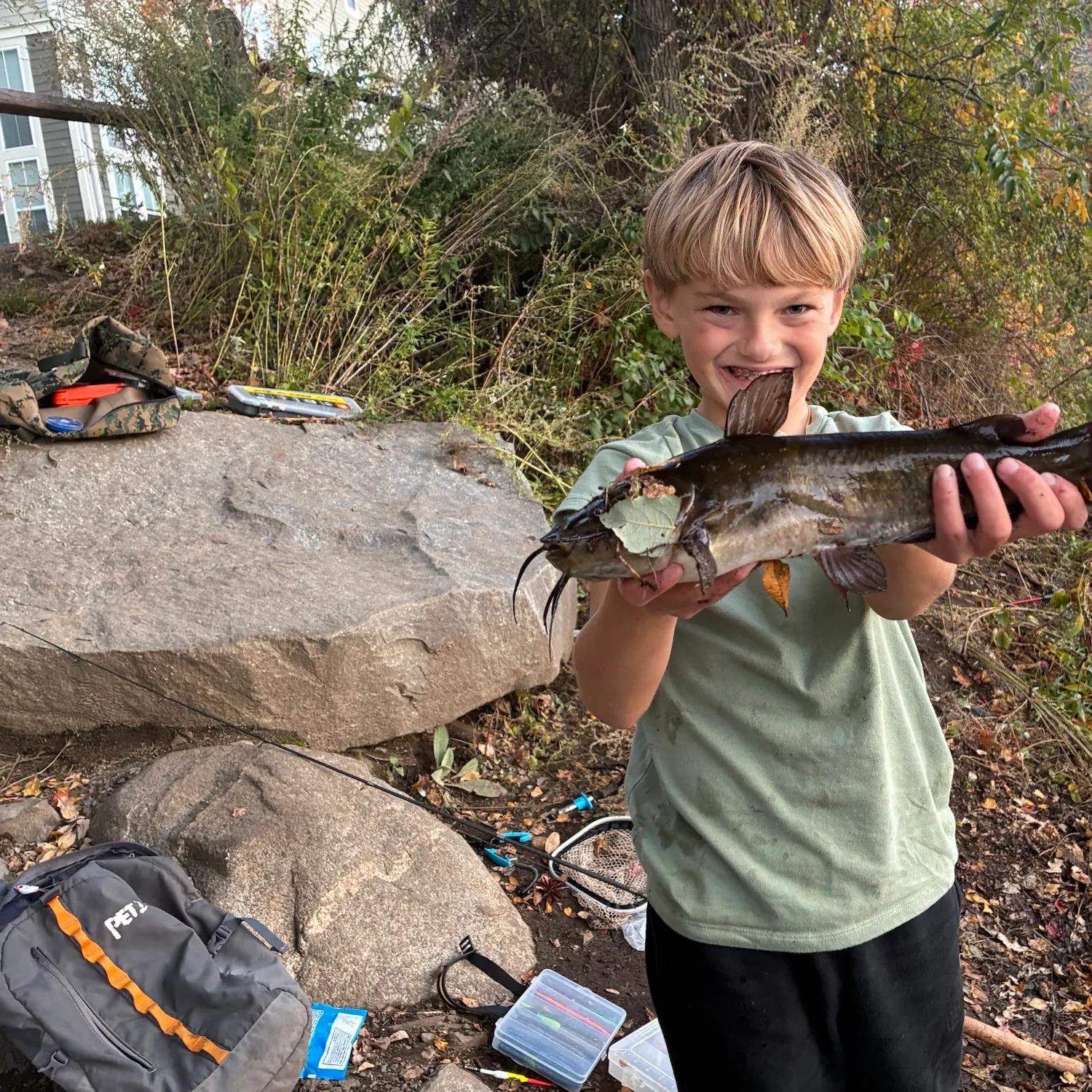 Black bullhead caught on Fishbrain