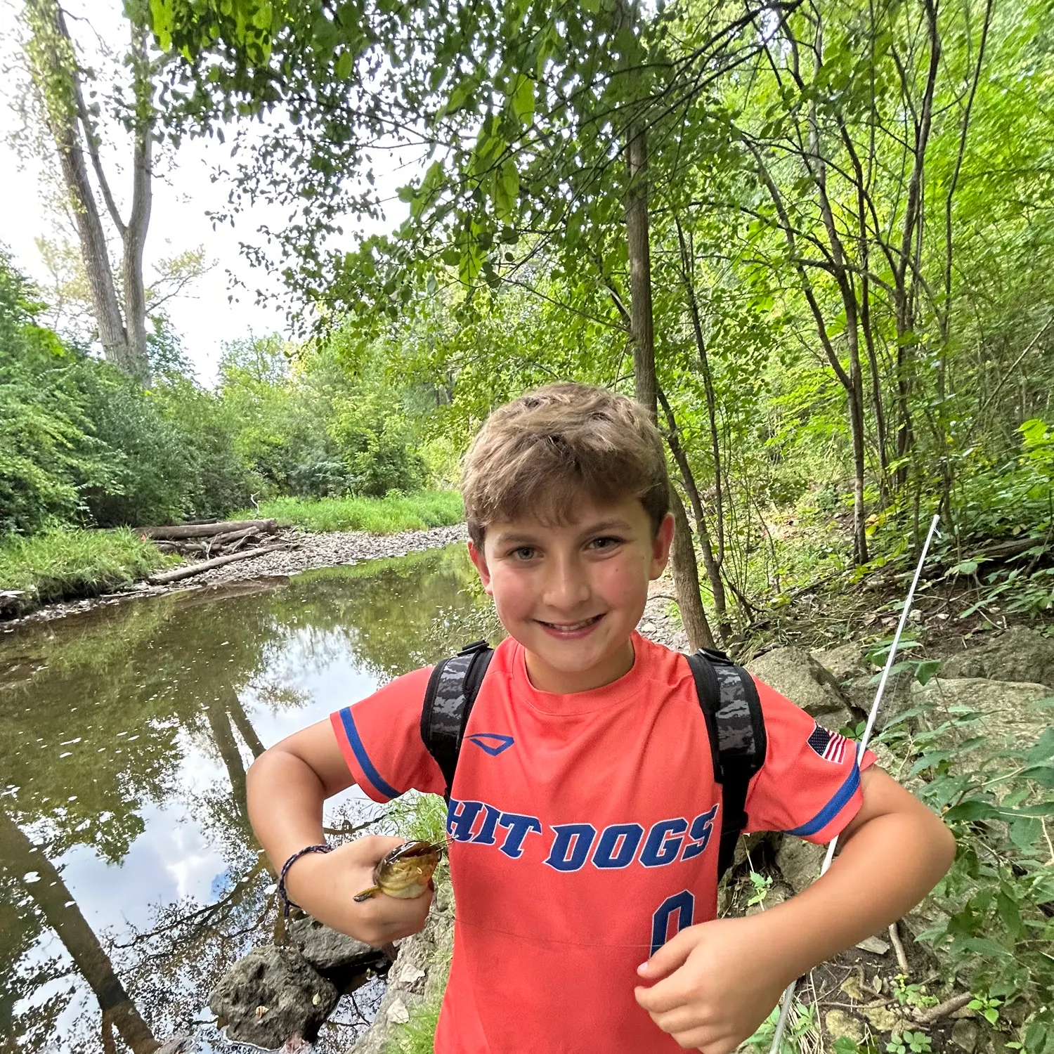 Yellow bullhead caught on Fishbrain