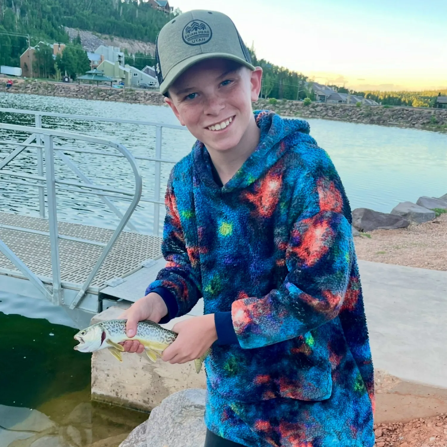 The most recent Tiger trout catches on Fishbrain