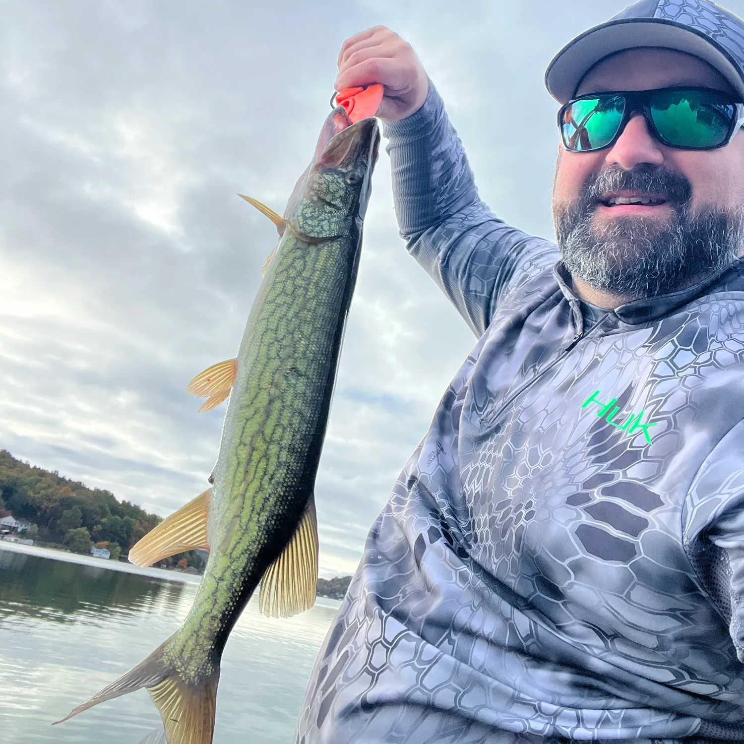 Chain pickerel caught on Fishbrain