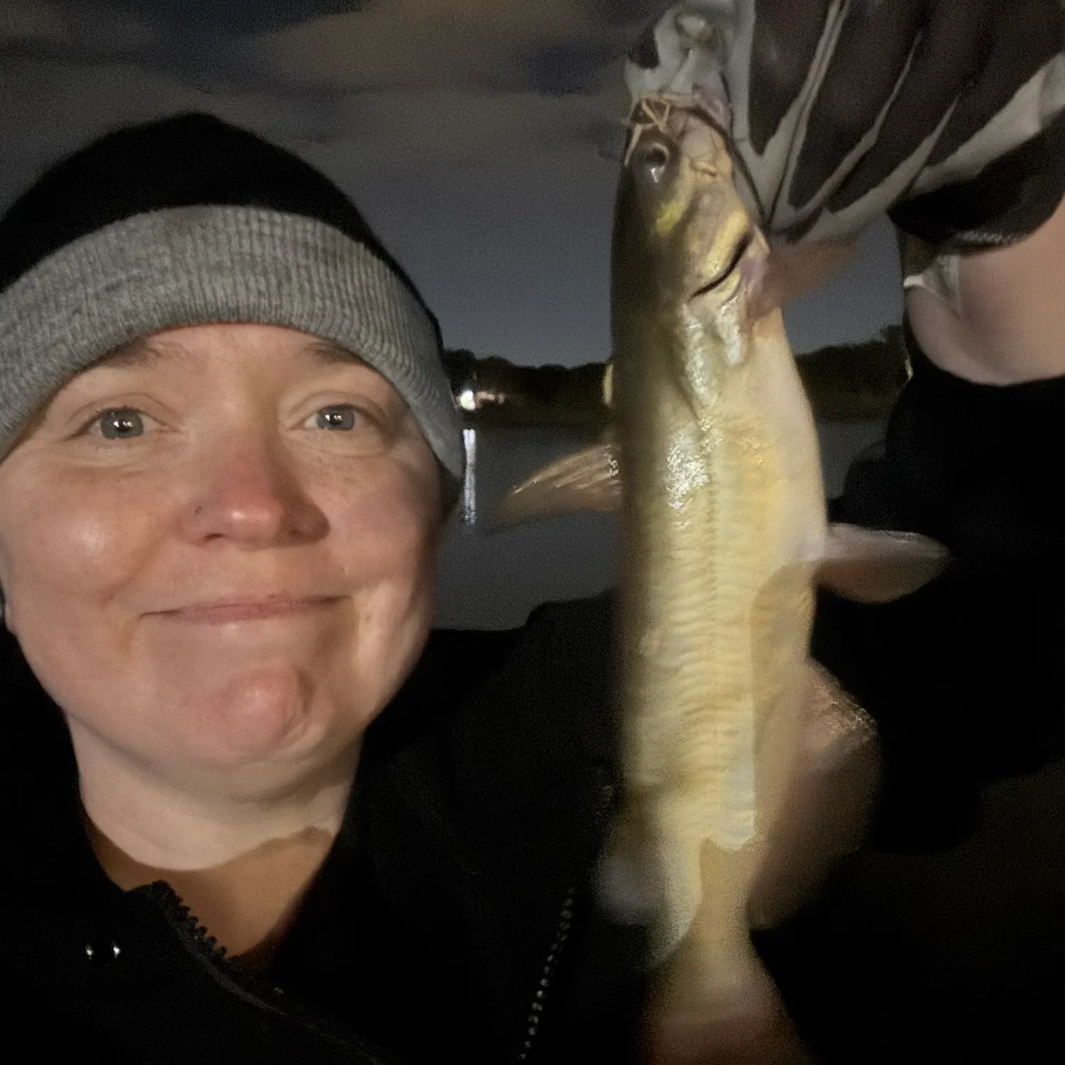 Channel catfish caught on Fishbrain