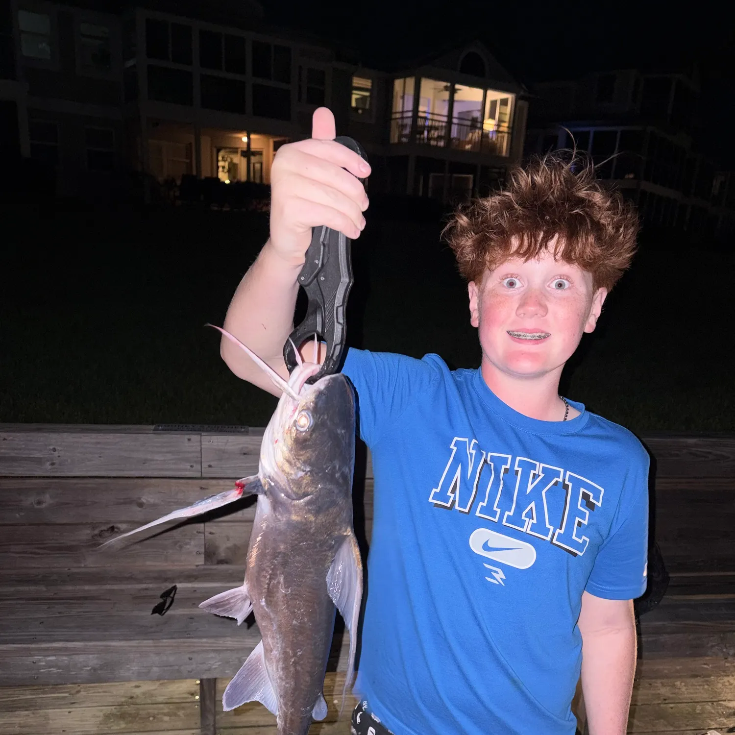 Gafftopsail sea catfish caught on Fishbrain