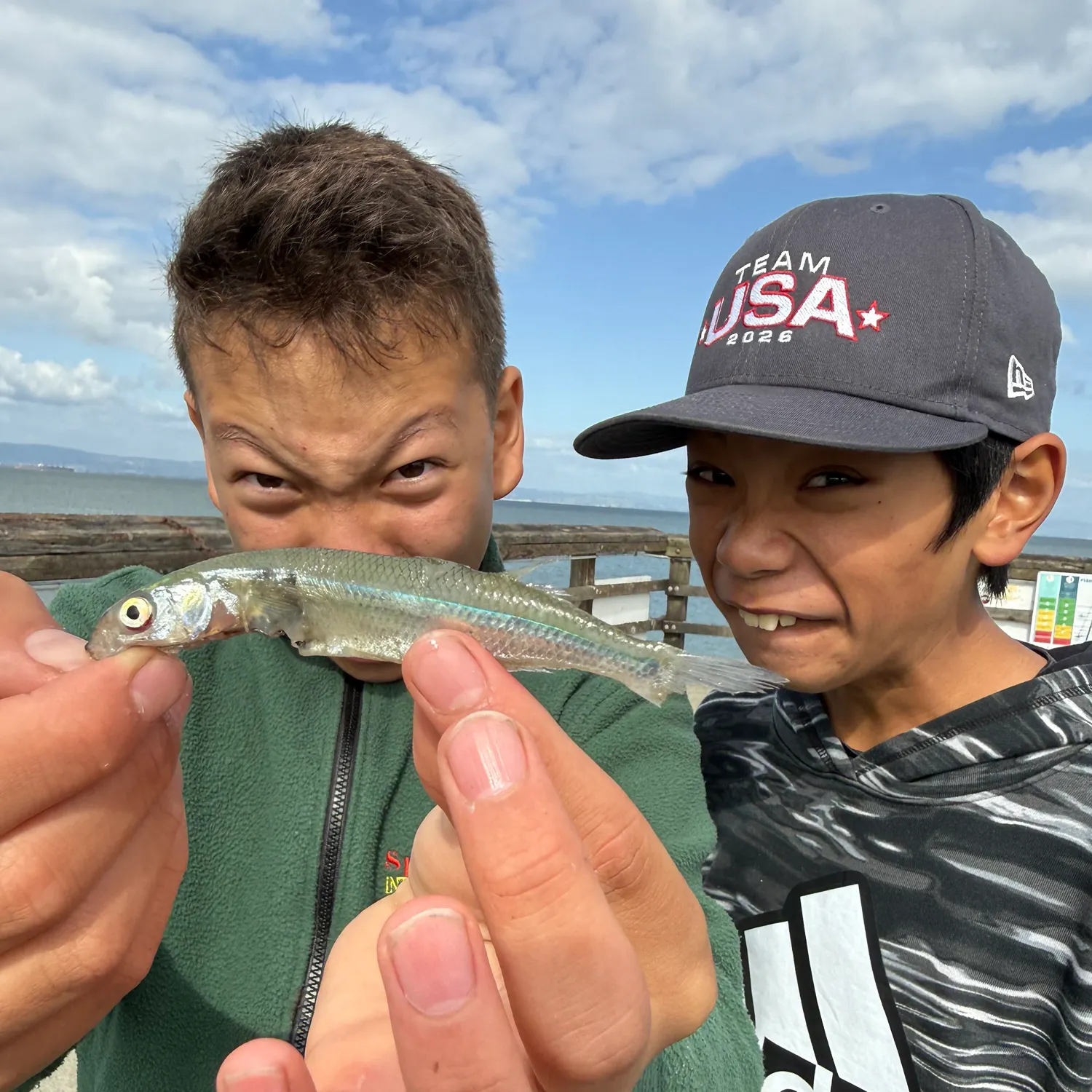 The most recent Atlantic goliath grouper catches on Fishbrain