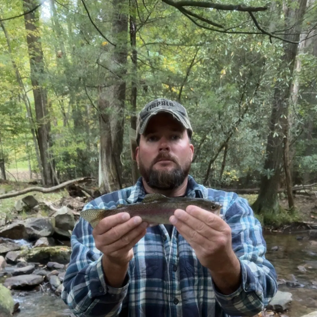 Rainbow trout caught on Fishbrain