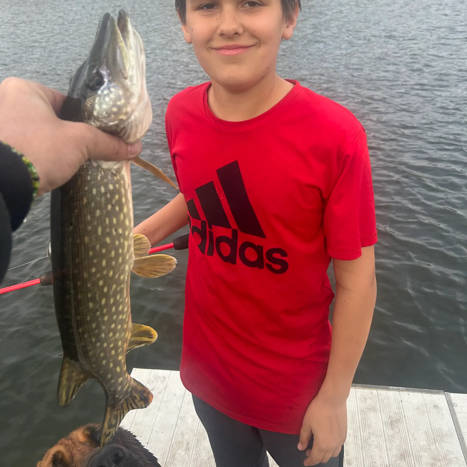 The most recent Northern pike catches on Fishbrain