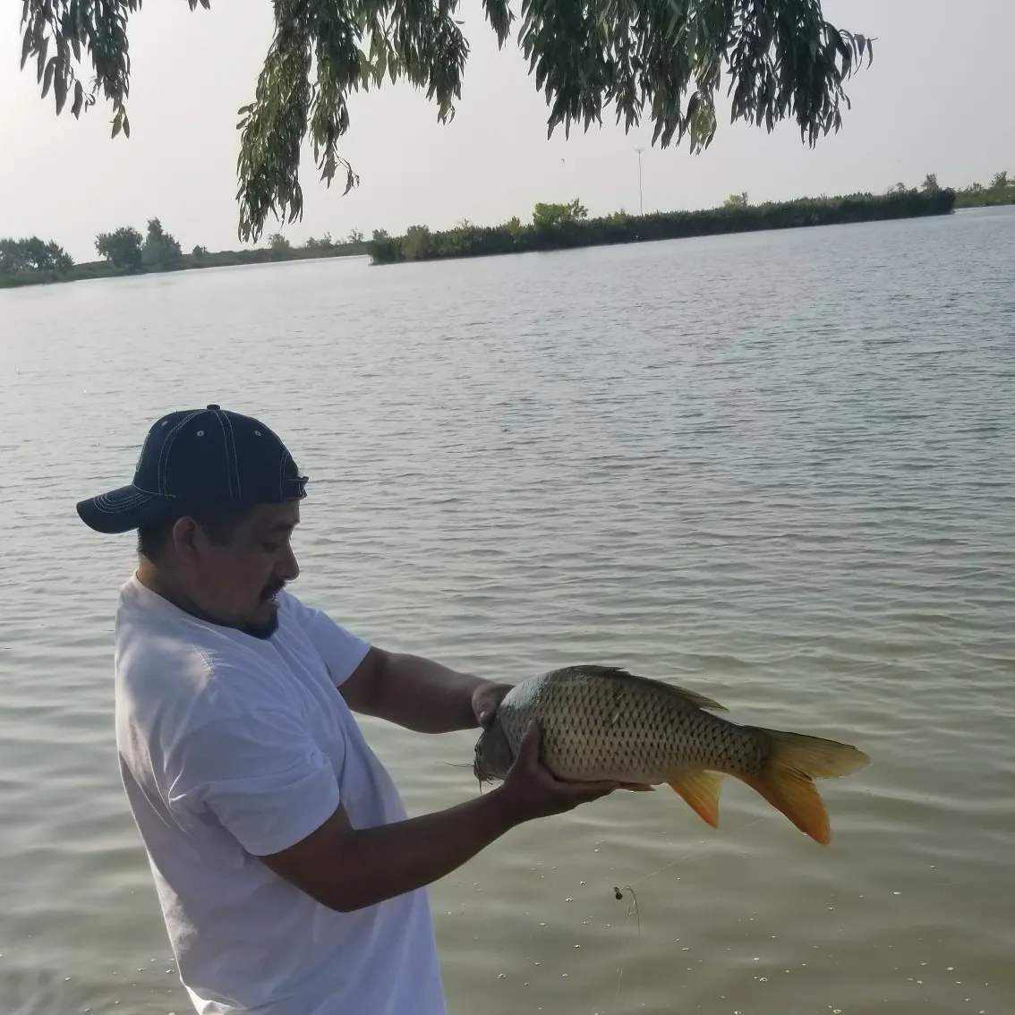 angler catch
