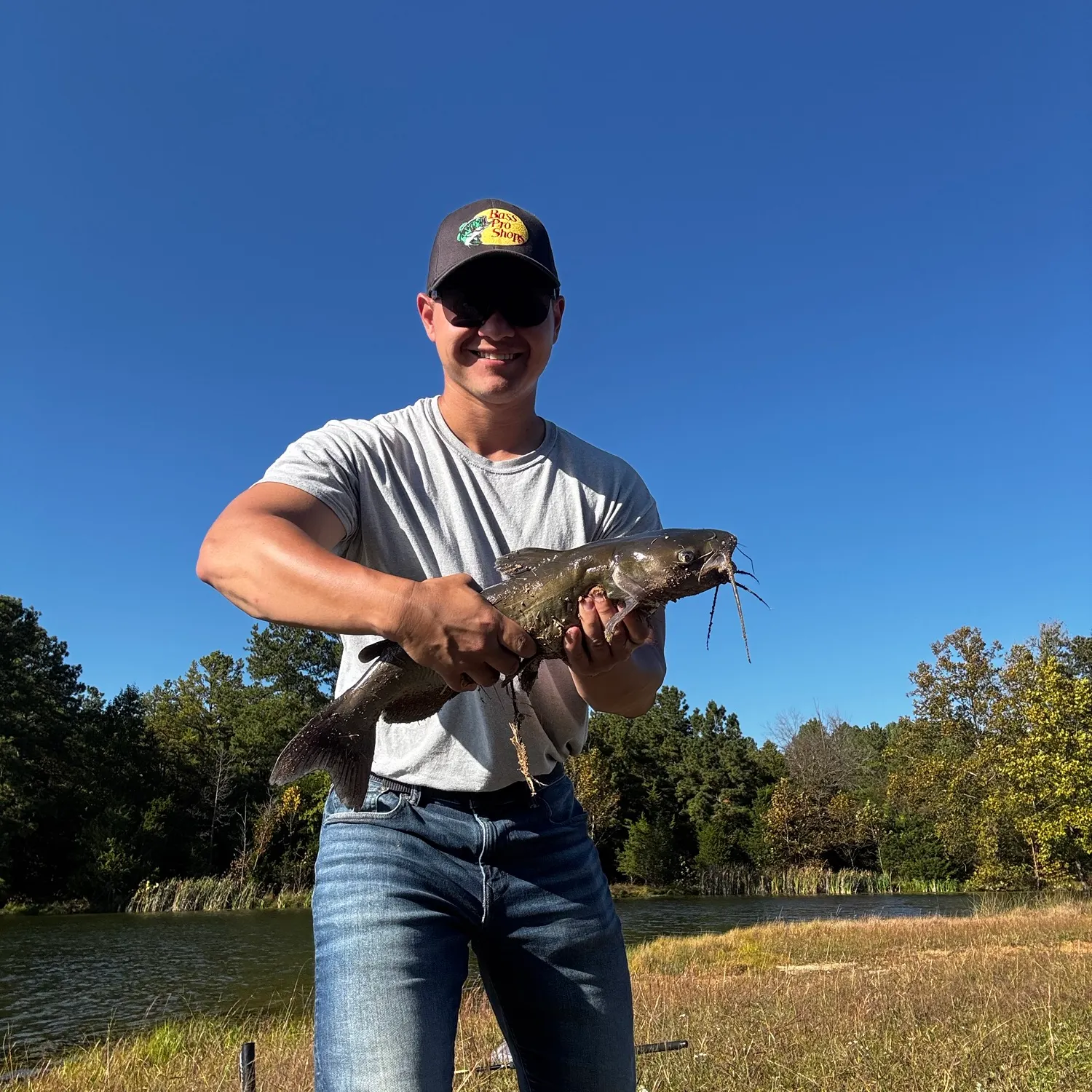 Channel catfish caught on Fishbrain