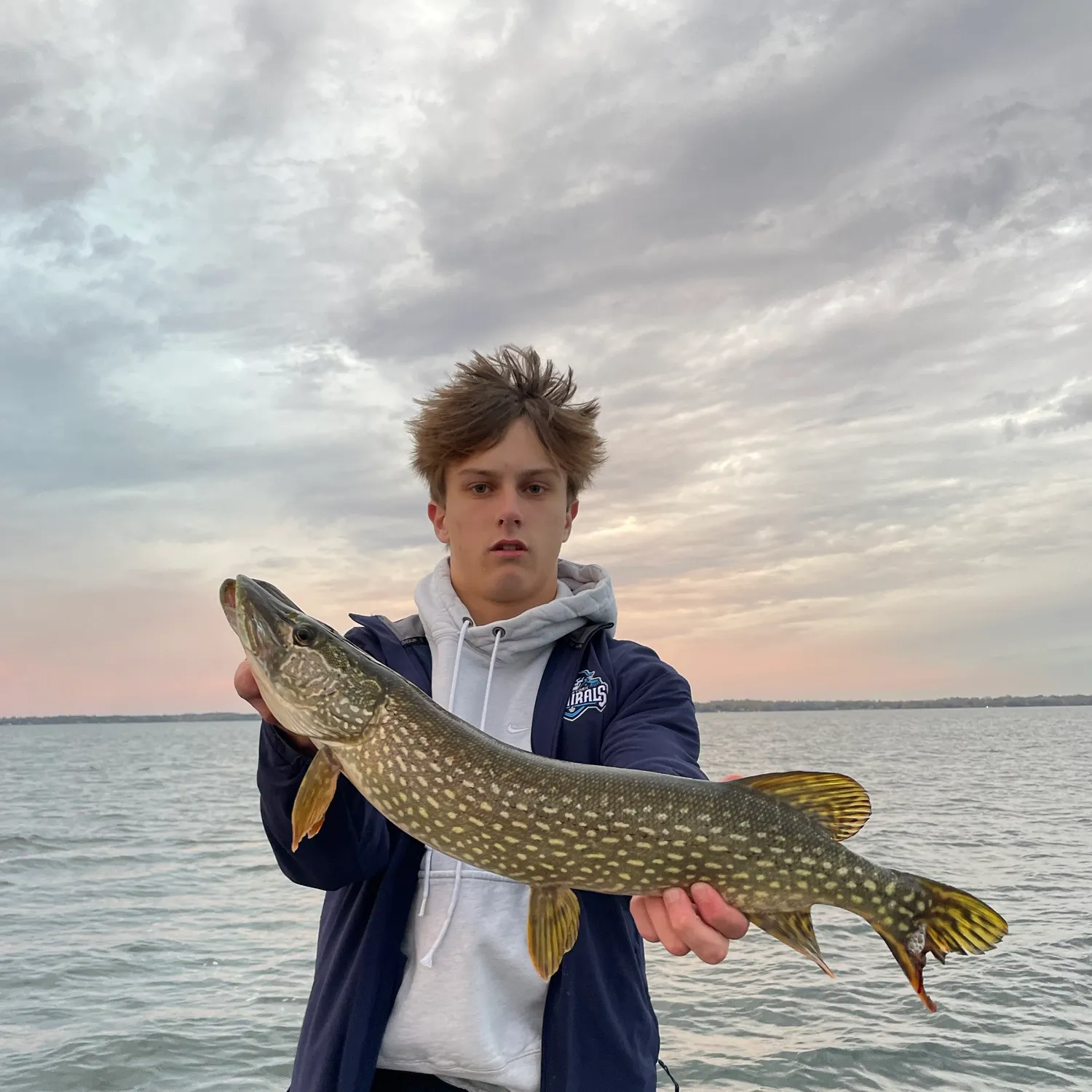 Northern pike caught on Fishbrain