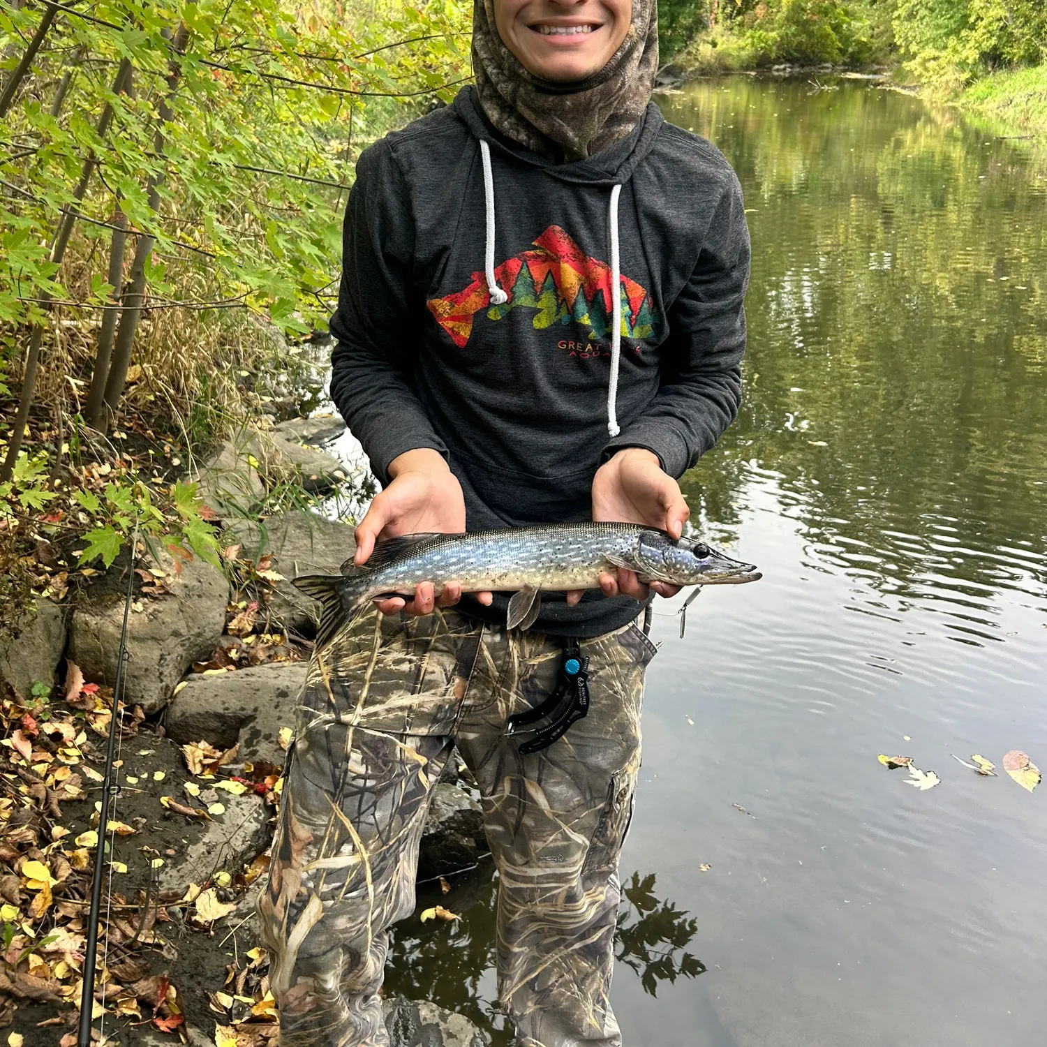 Northern pike caught on Fishbrain
