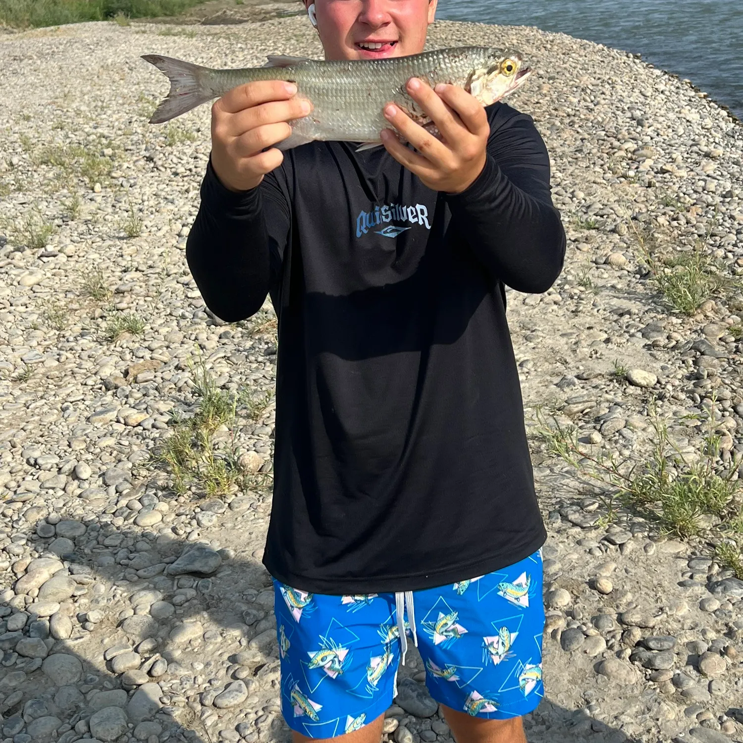The most recent Lake whitefish catches on Fishbrain