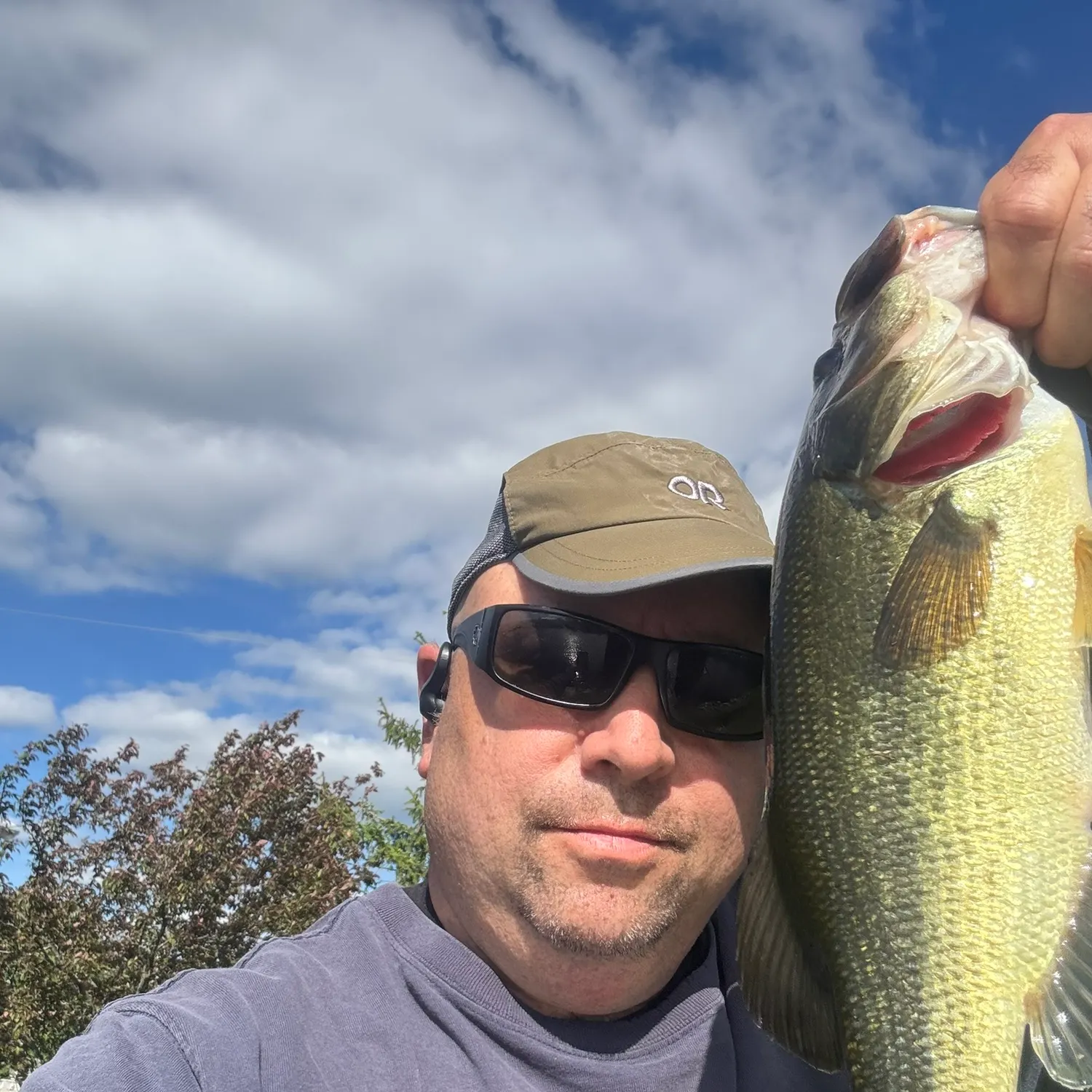 angler catch