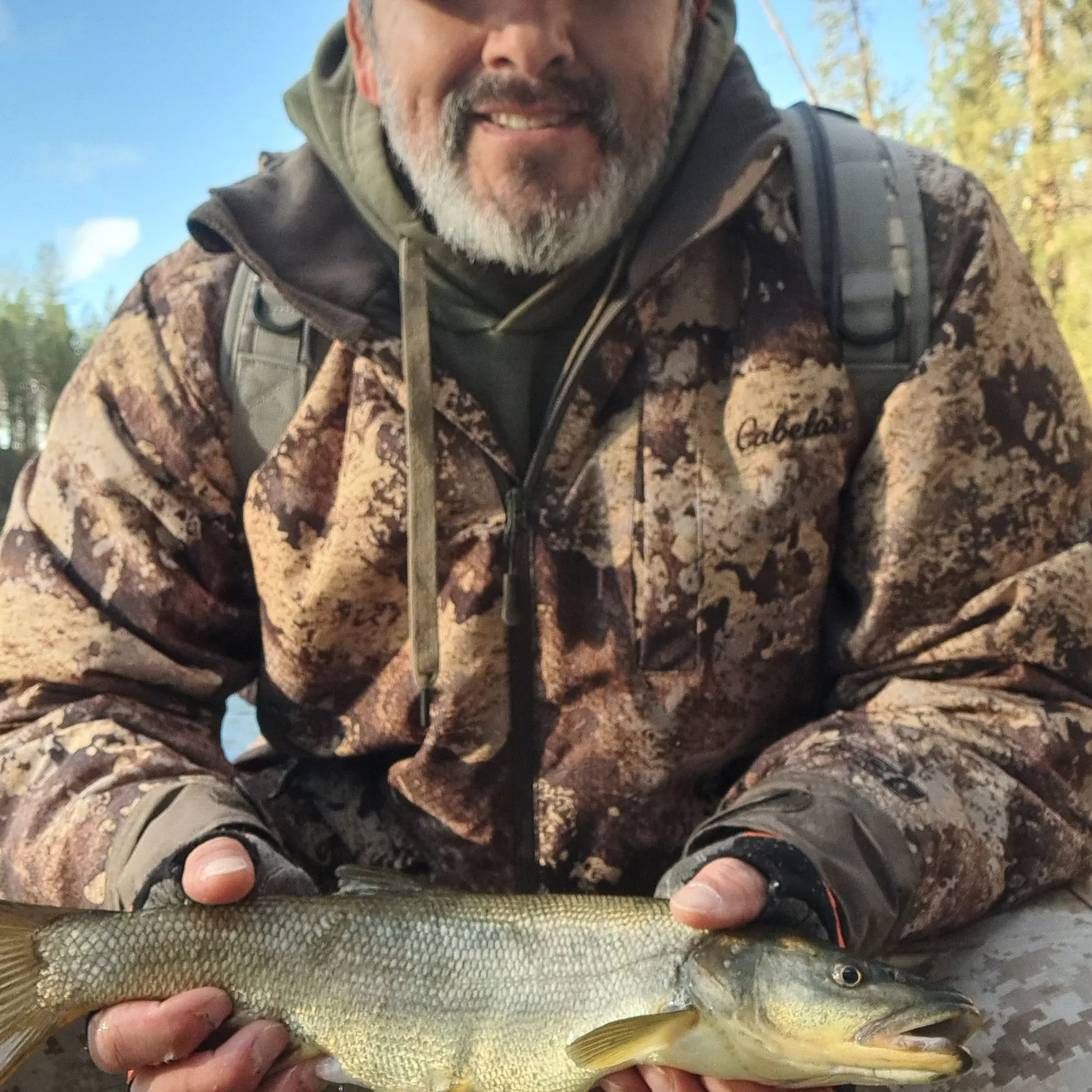 The most recent Northern pikeminnow catches on Fishbrain