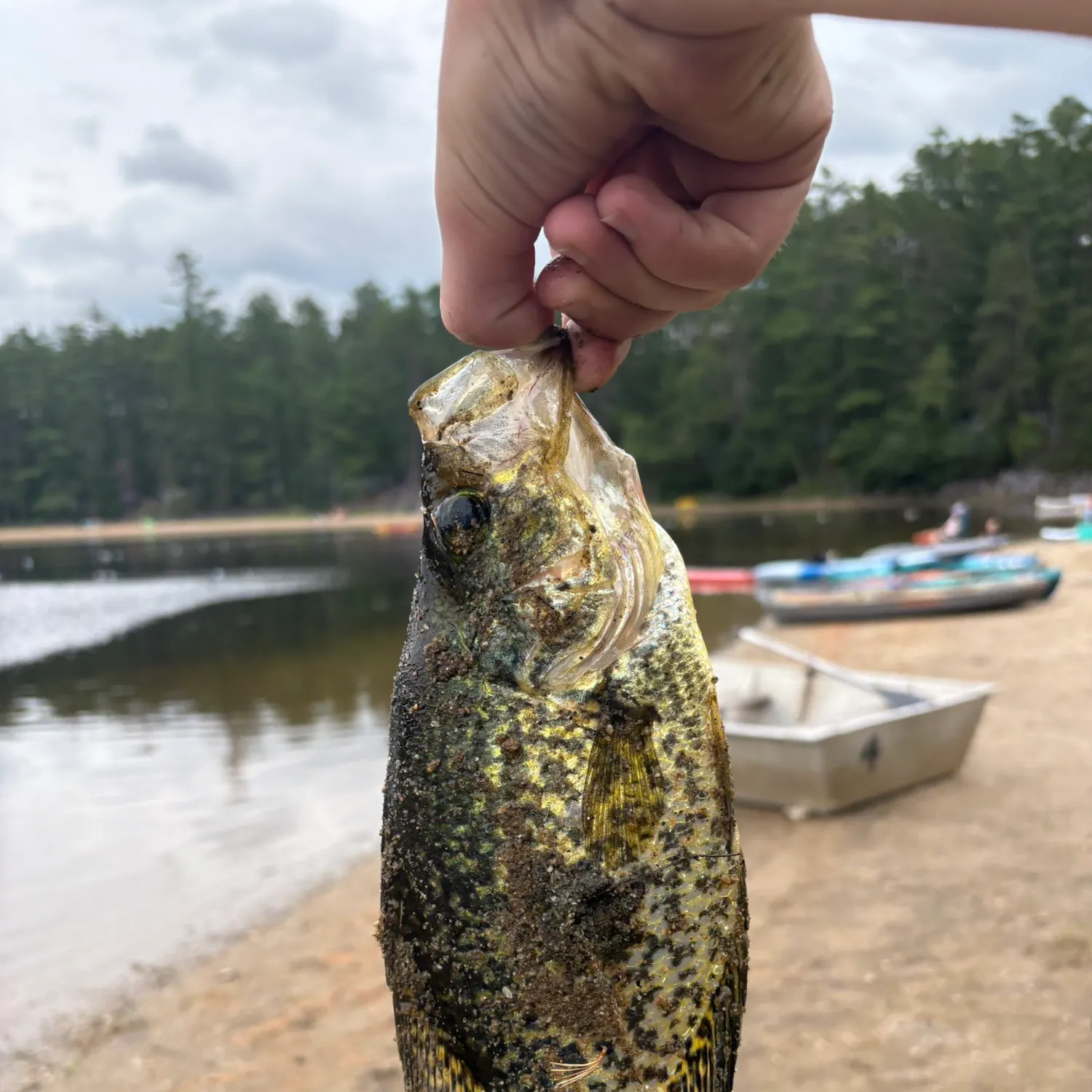catch