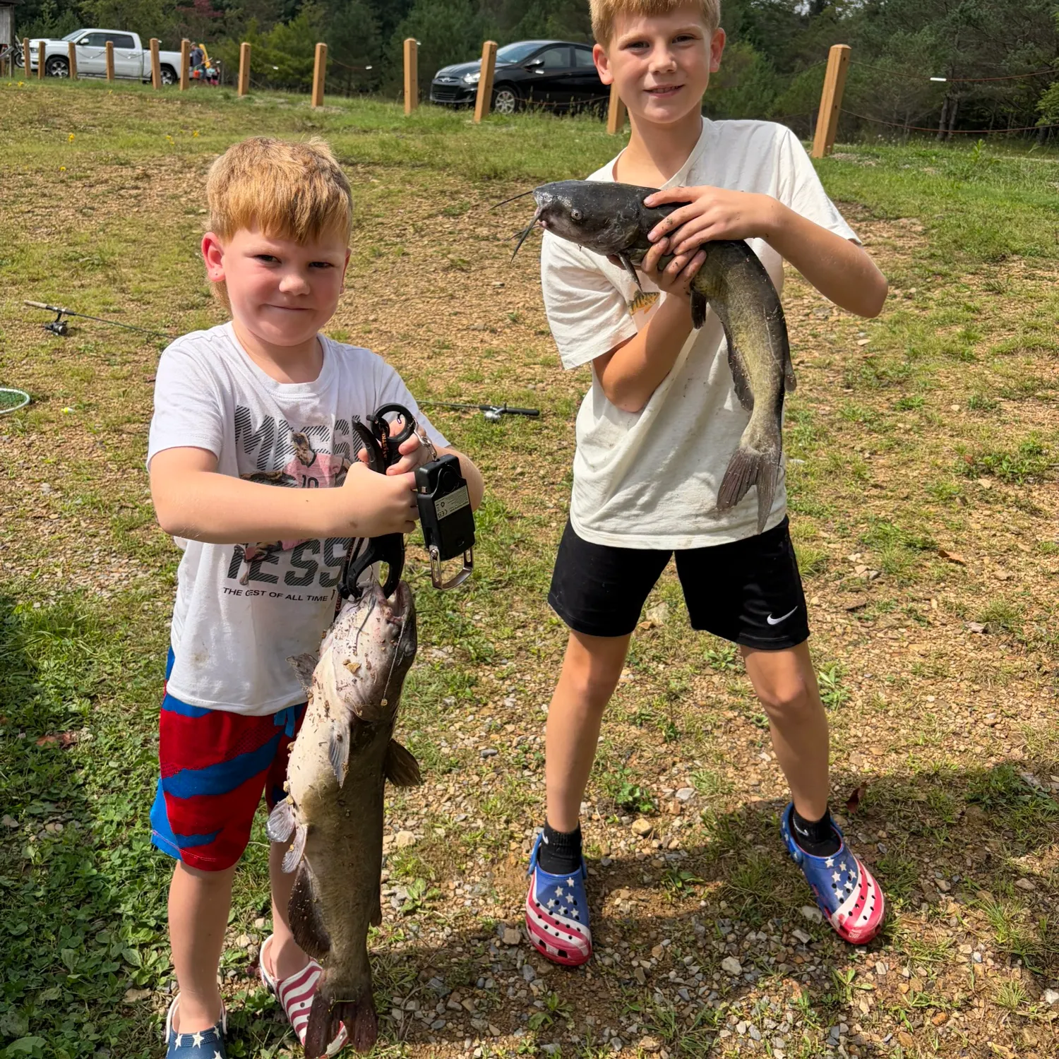 Channel catfish caught on Fishbrain