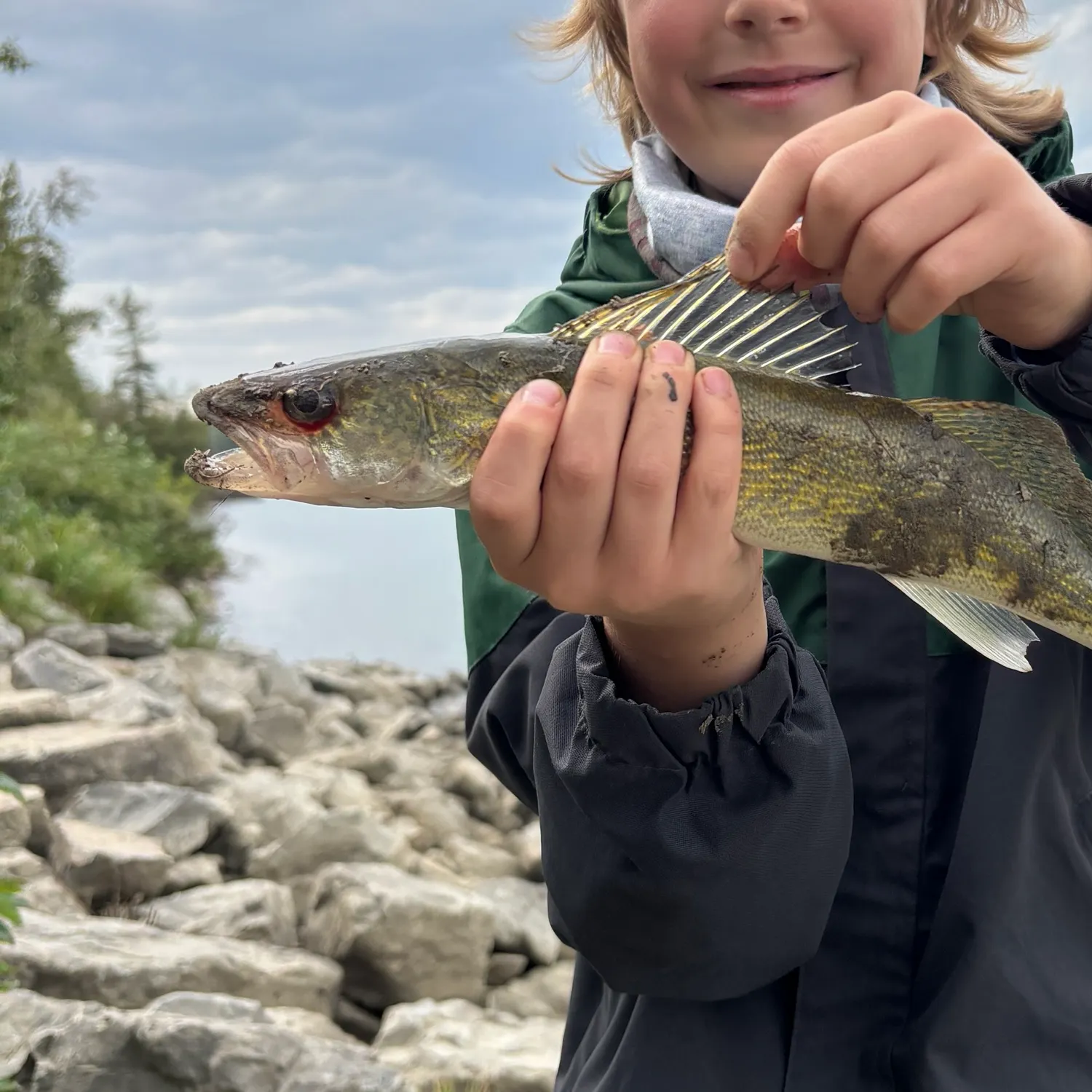 Walleye caught on Fishbrain
