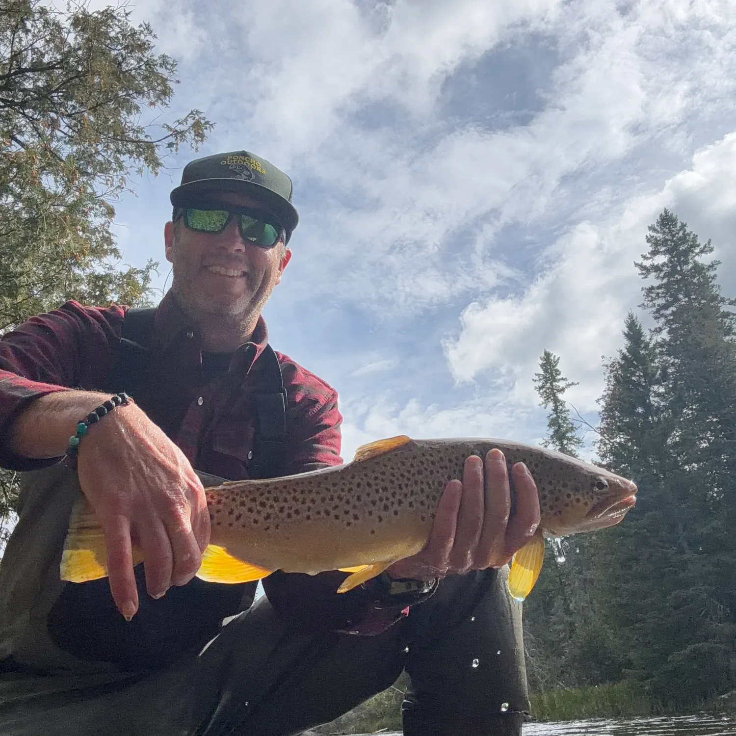 Brown trout caught on Fishbrain