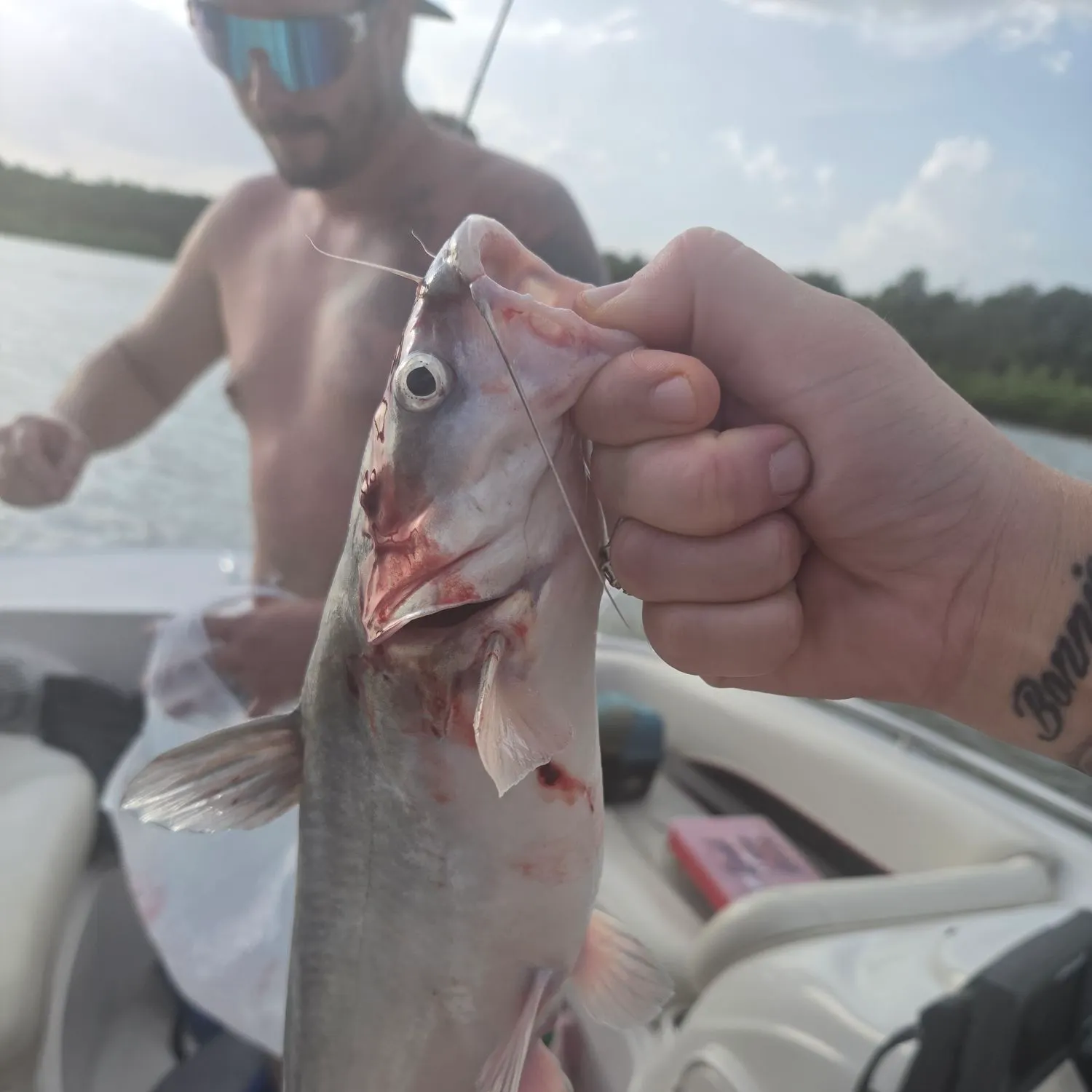 catch