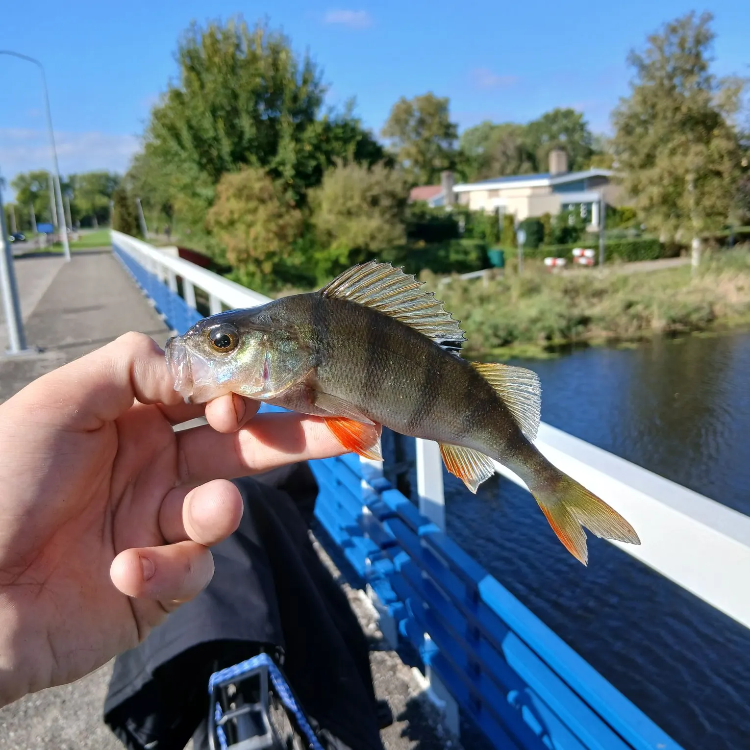 catch