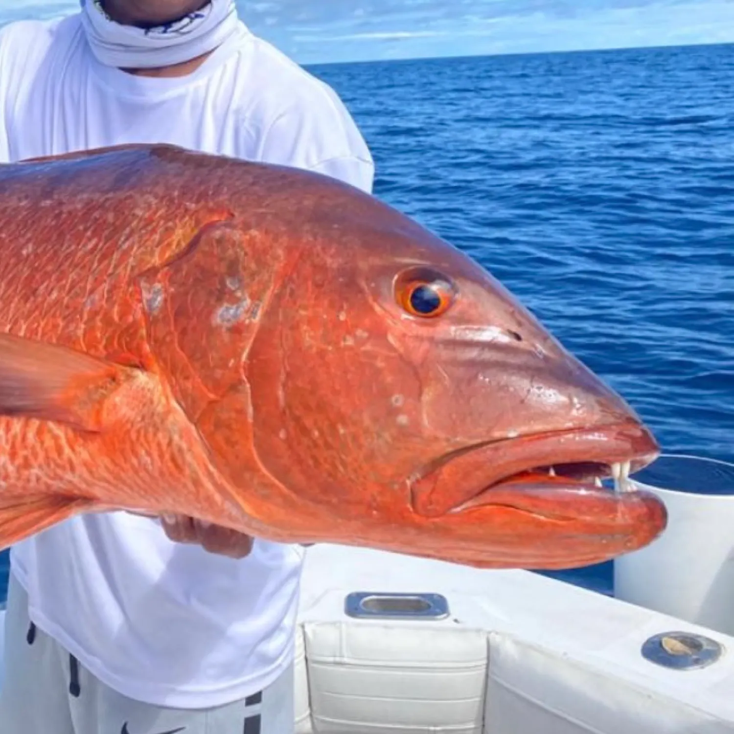The most recent Cubera snapper catches on Fishbrain