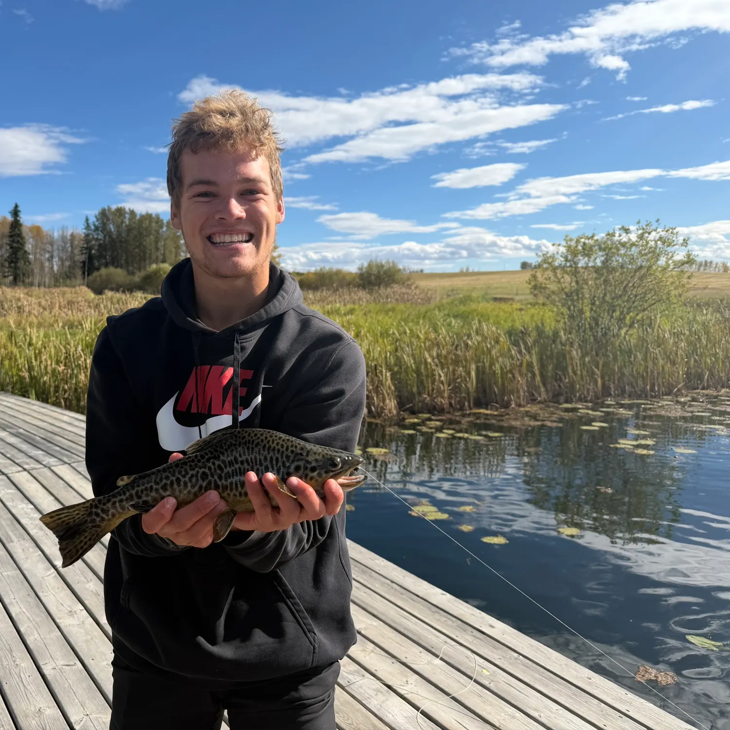 Tiger trout caught on Fishbrain