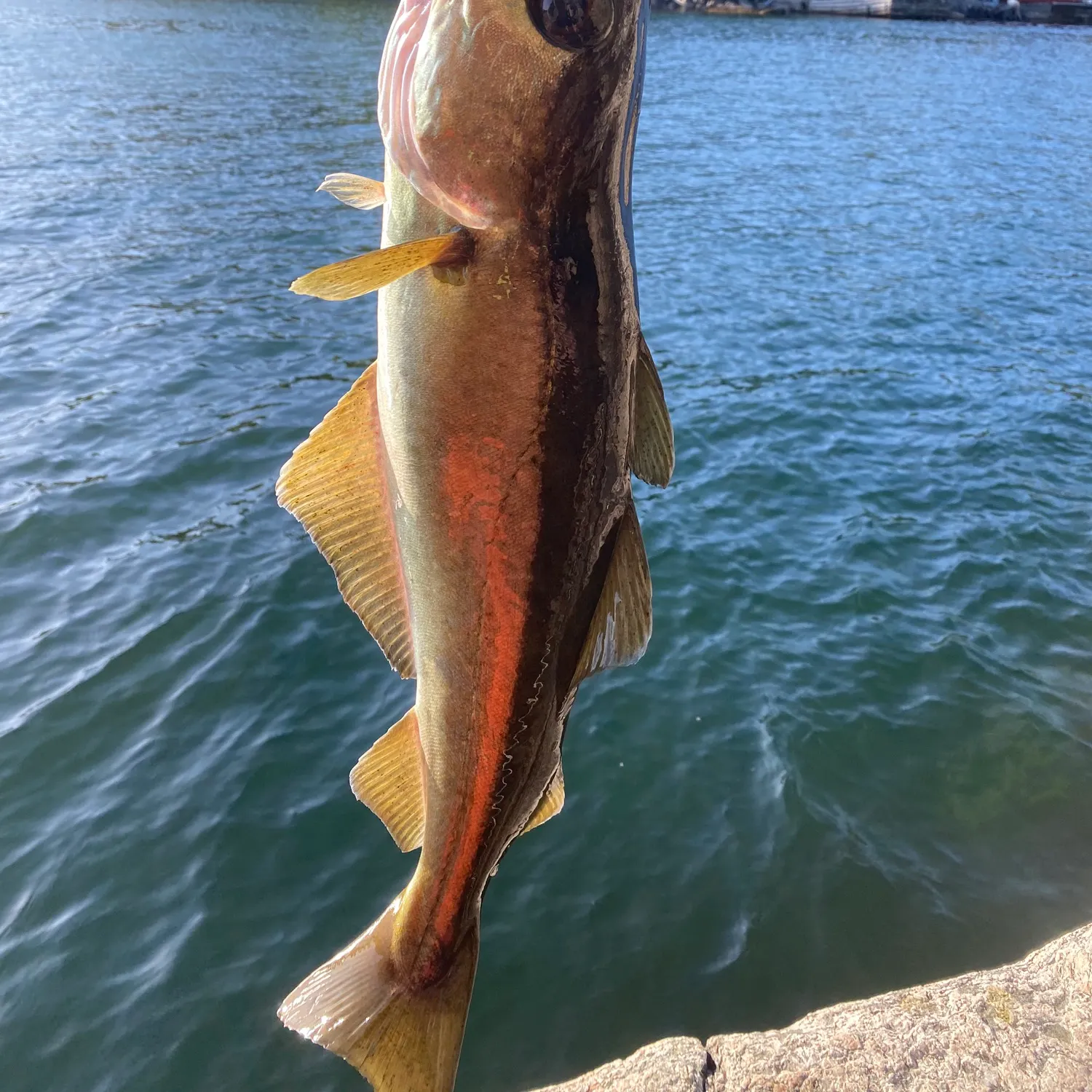 most liked catch image