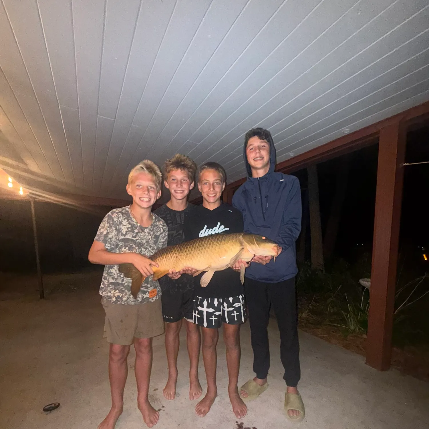 Common carp caught on Fishbrain