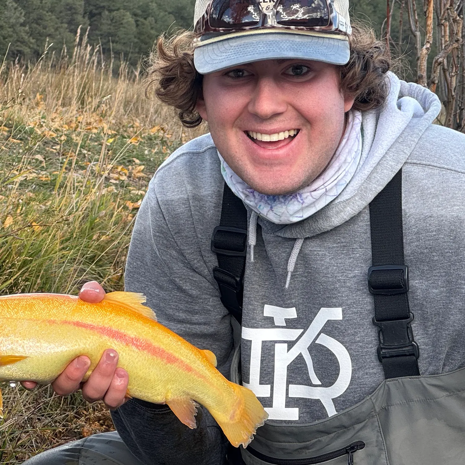 Golden rainbow trout caught on Fishbrain