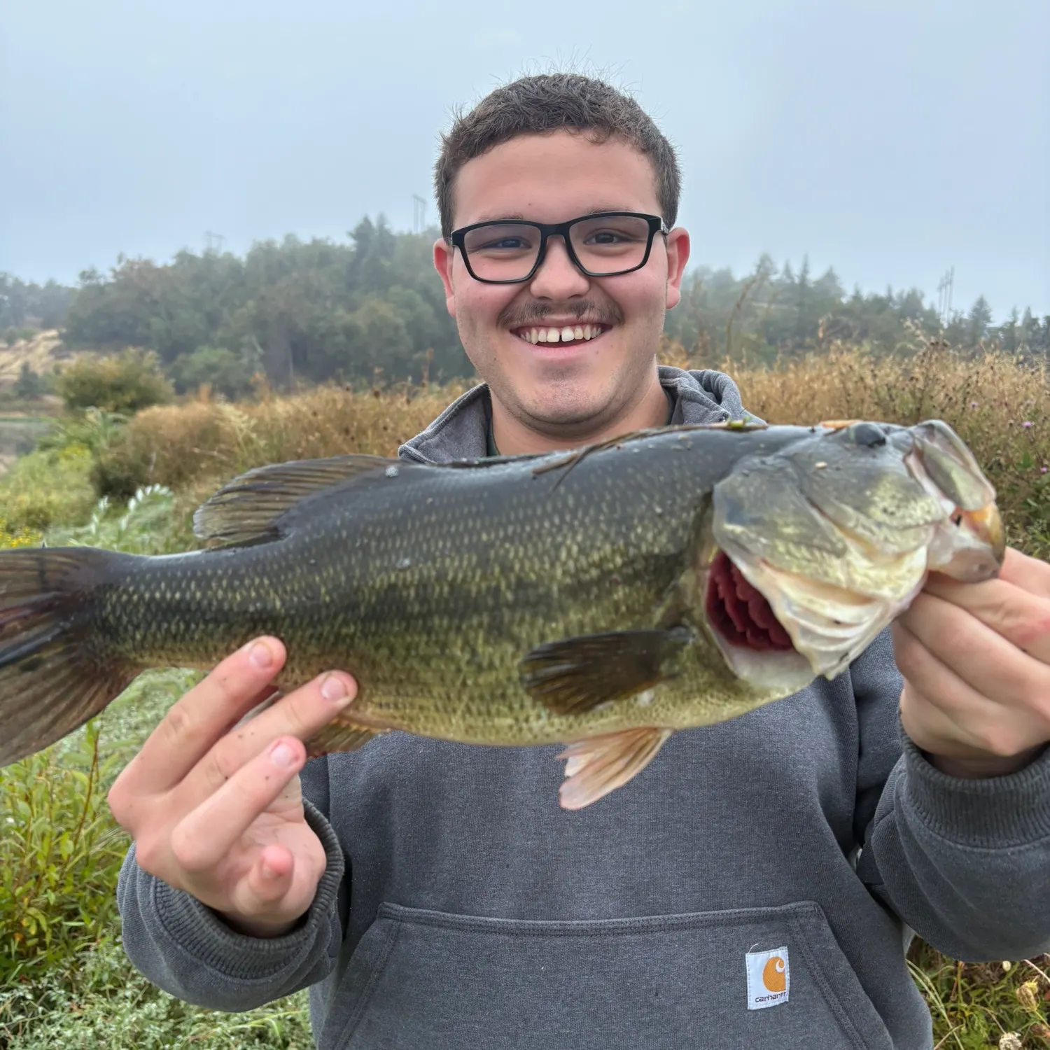 Largemouth bass caught on Fishbrain