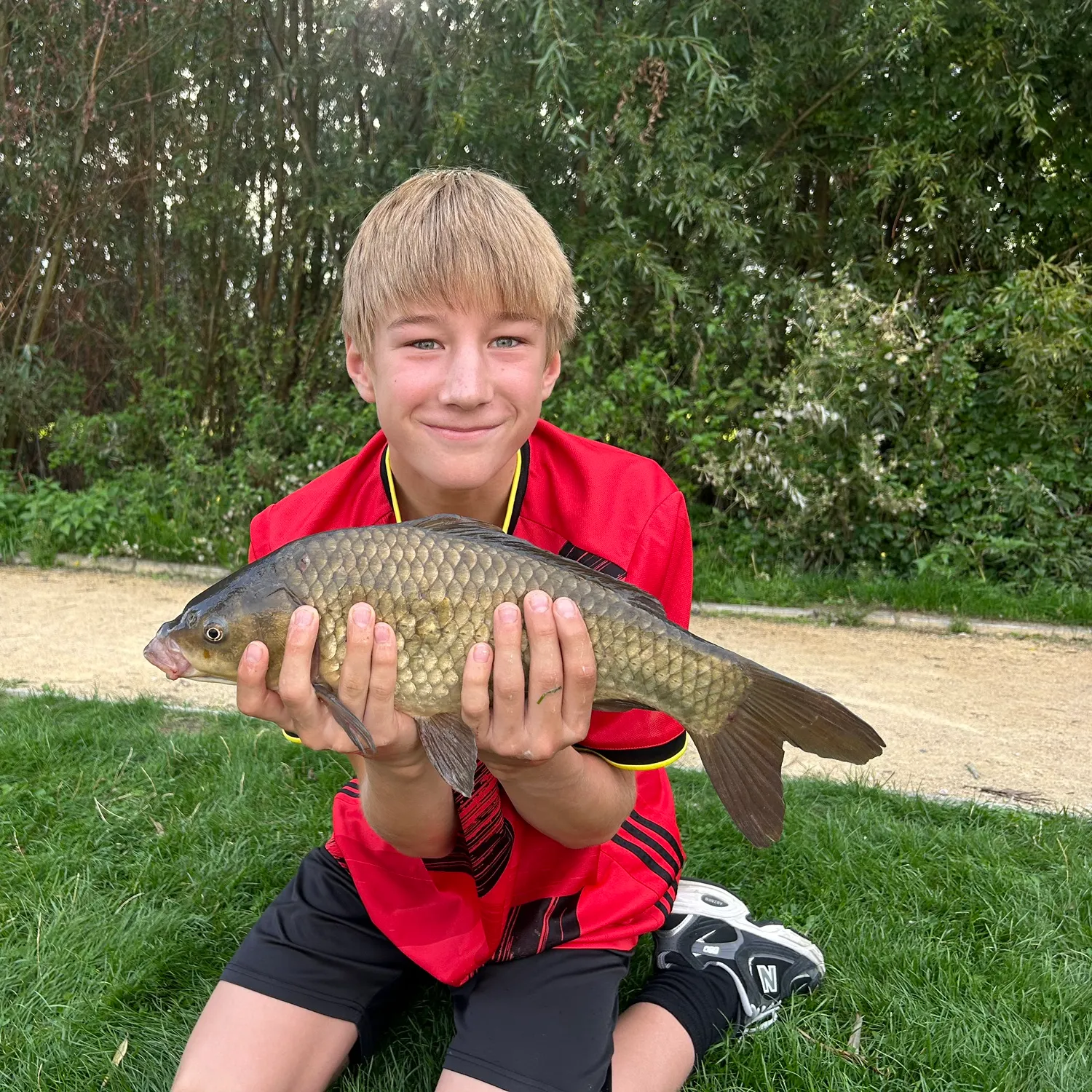 Common carp caught on Fishbrain