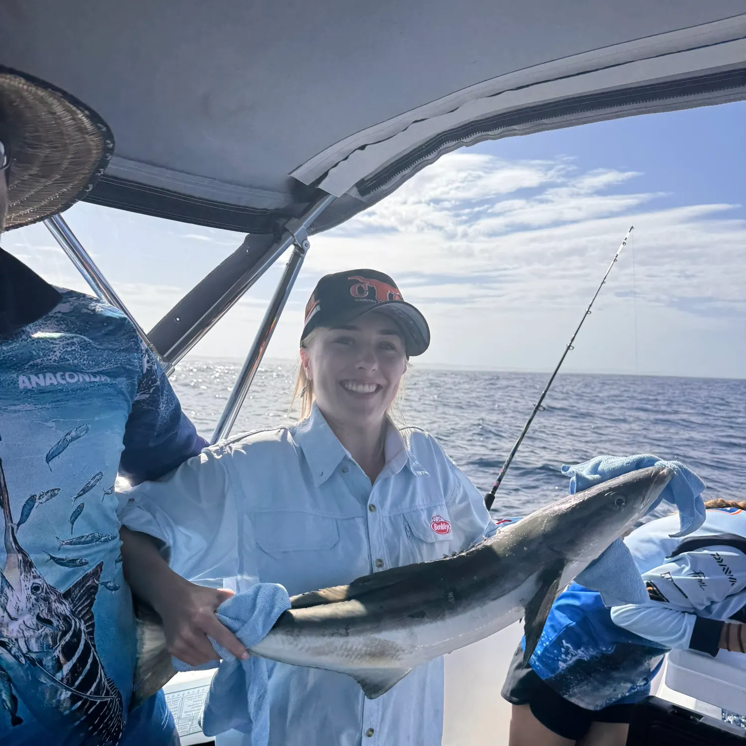 The most recent Cobia catches on Fishbrain