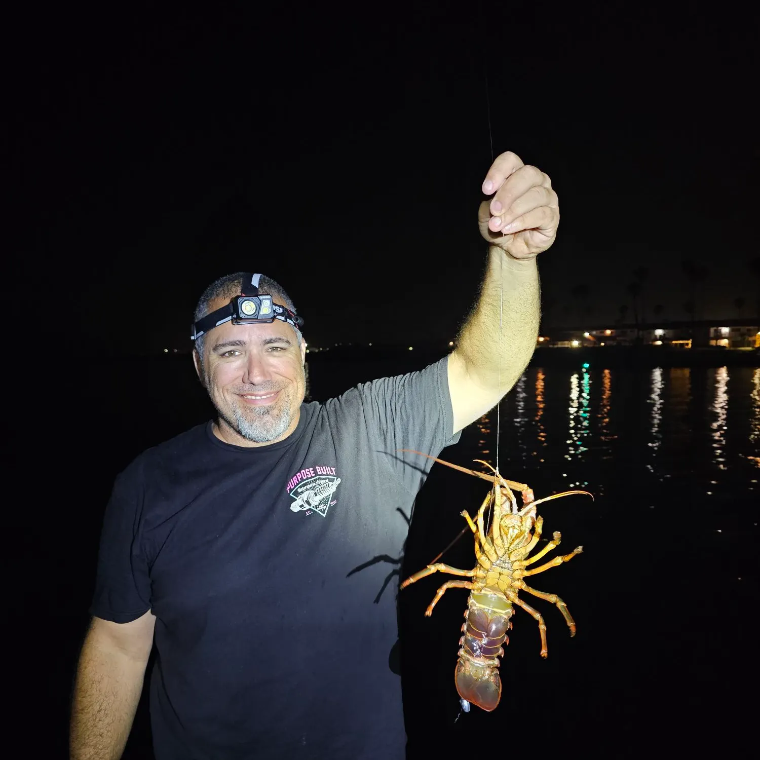 The most recent American lobster catches on Fishbrain