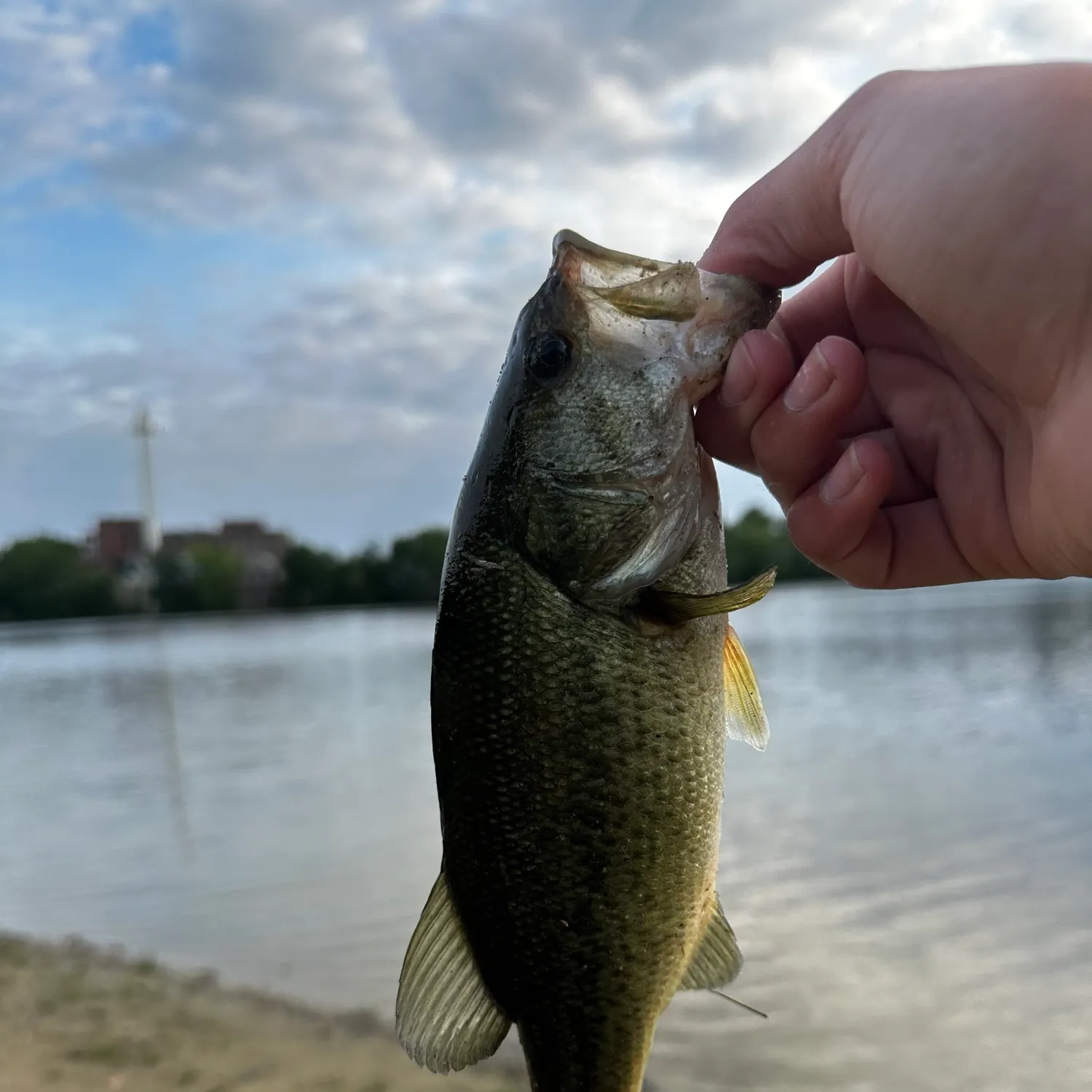 angler catch