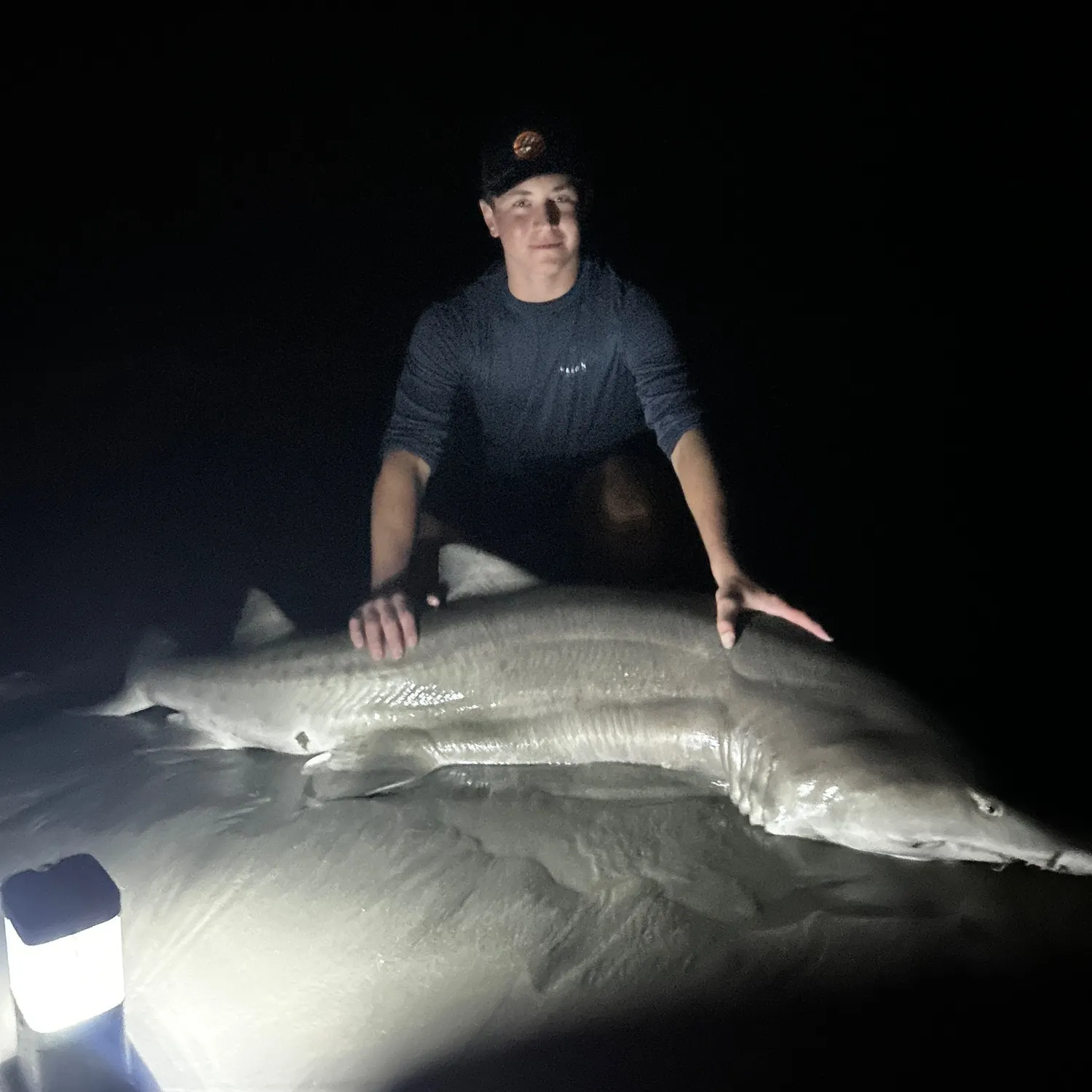 The most recent Sand tiger shark catches on Fishbrain
