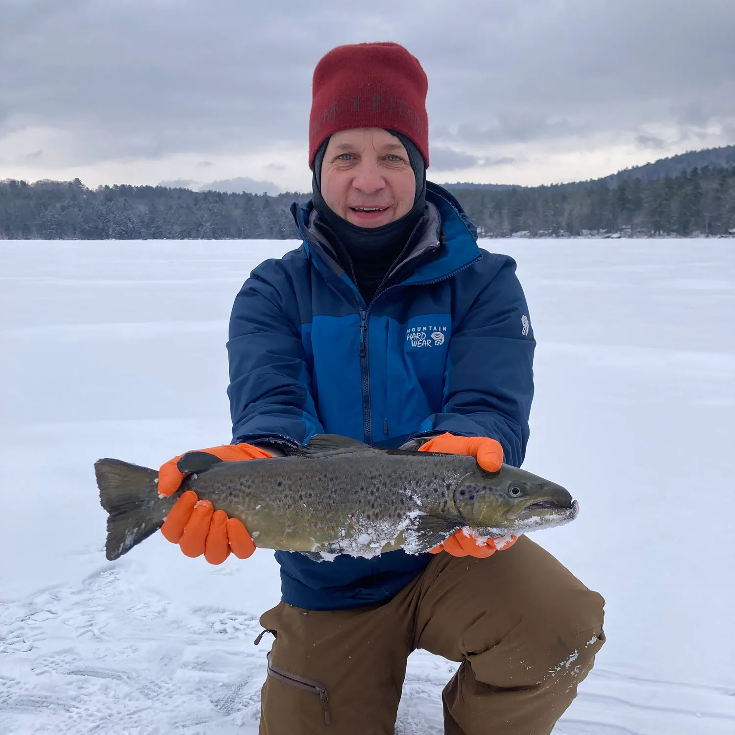 The most recent Landlocked atlantic salmon catches on Fishbrain