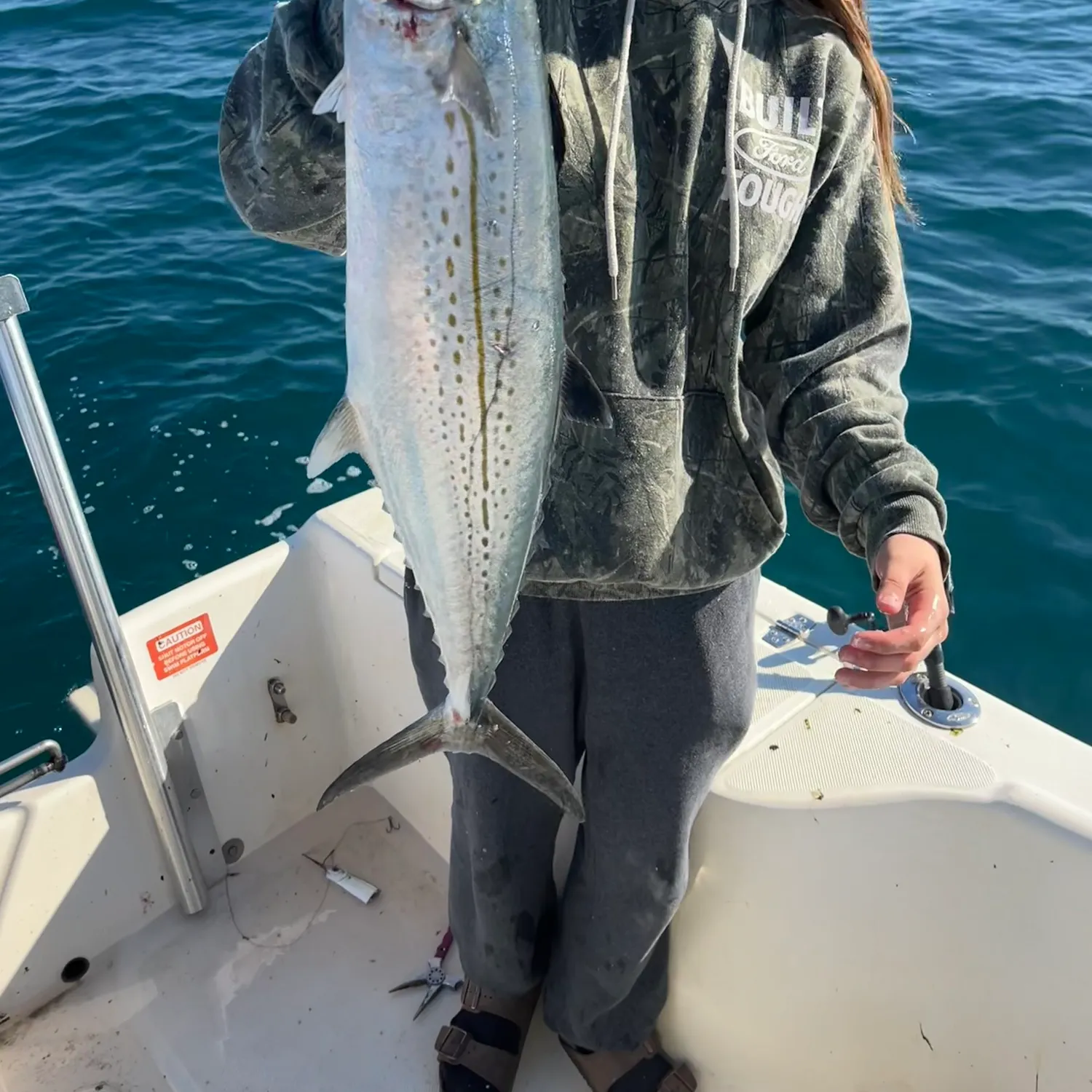The most recent Cero mackerel catches on Fishbrain