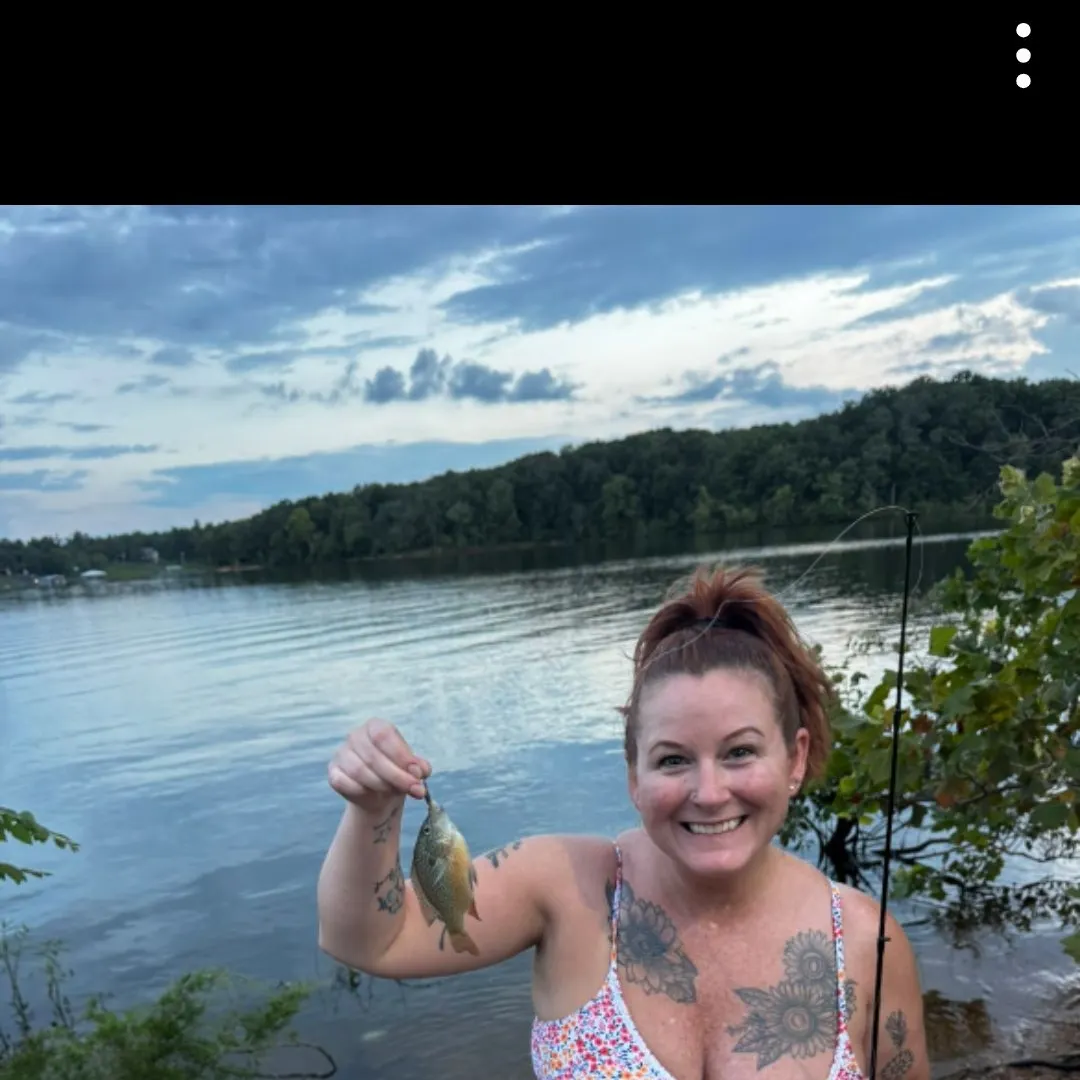 The most recent Dollar sunfish catches on Fishbrain