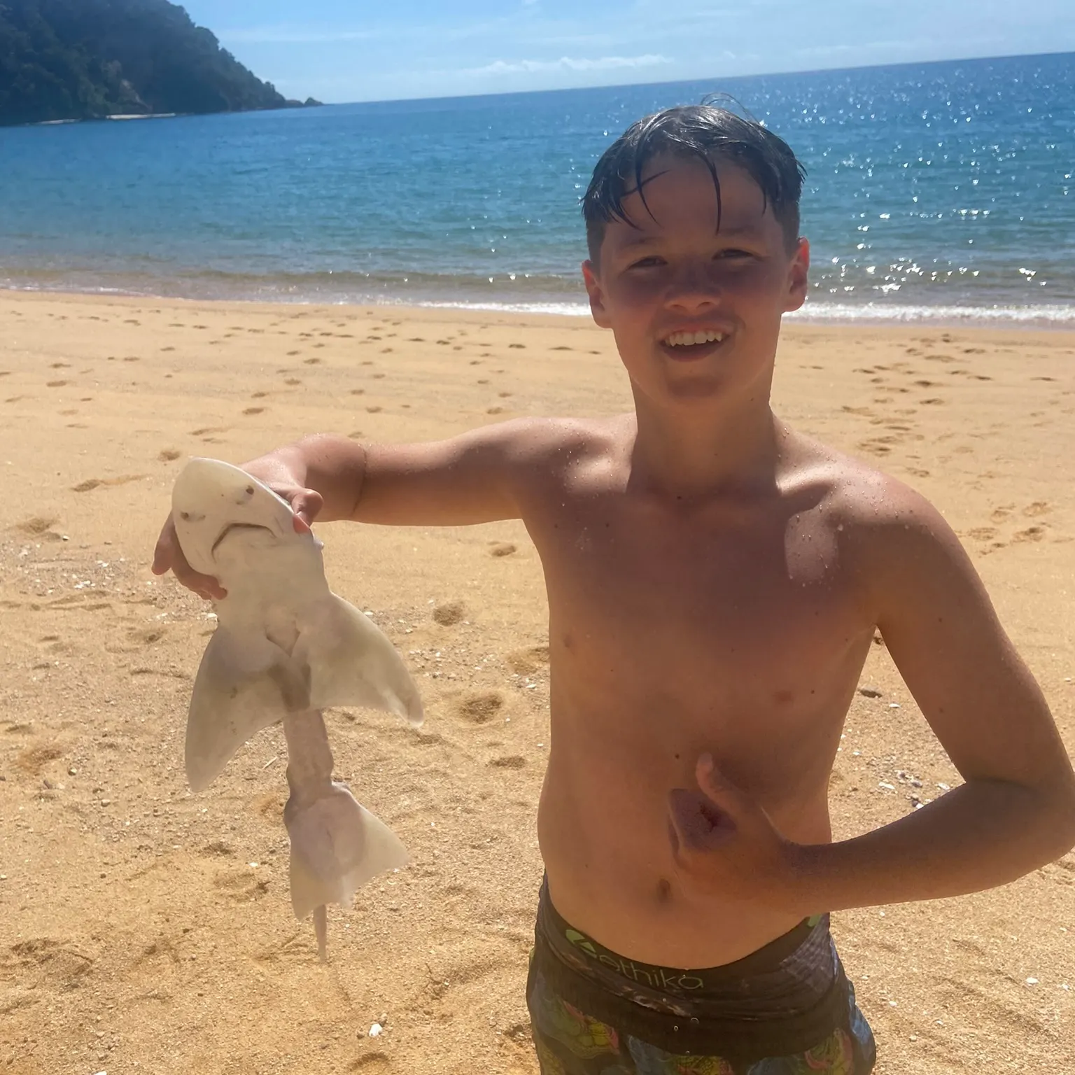 The most recent Pacific spiny dogfish catches on Fishbrain