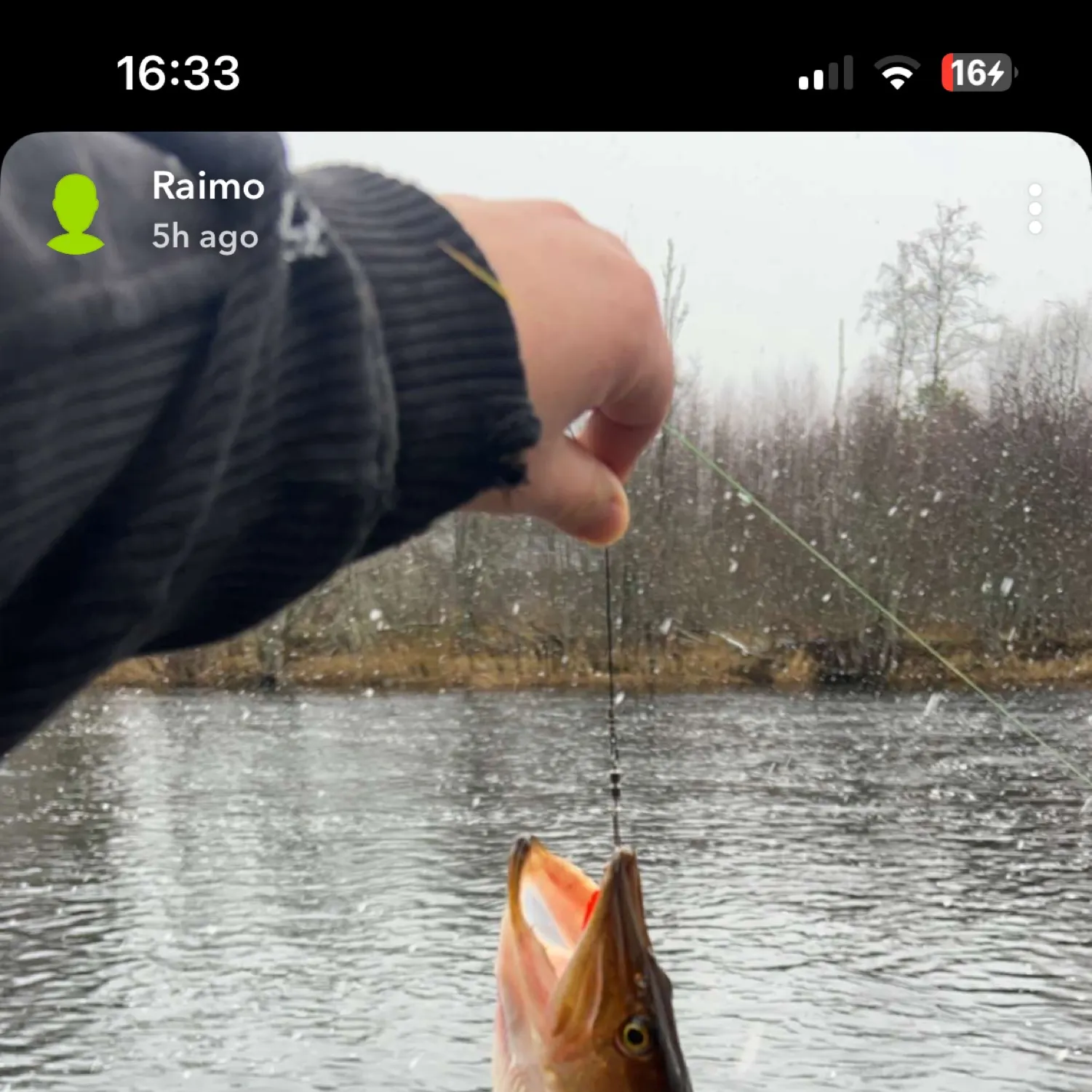 recently logged catches